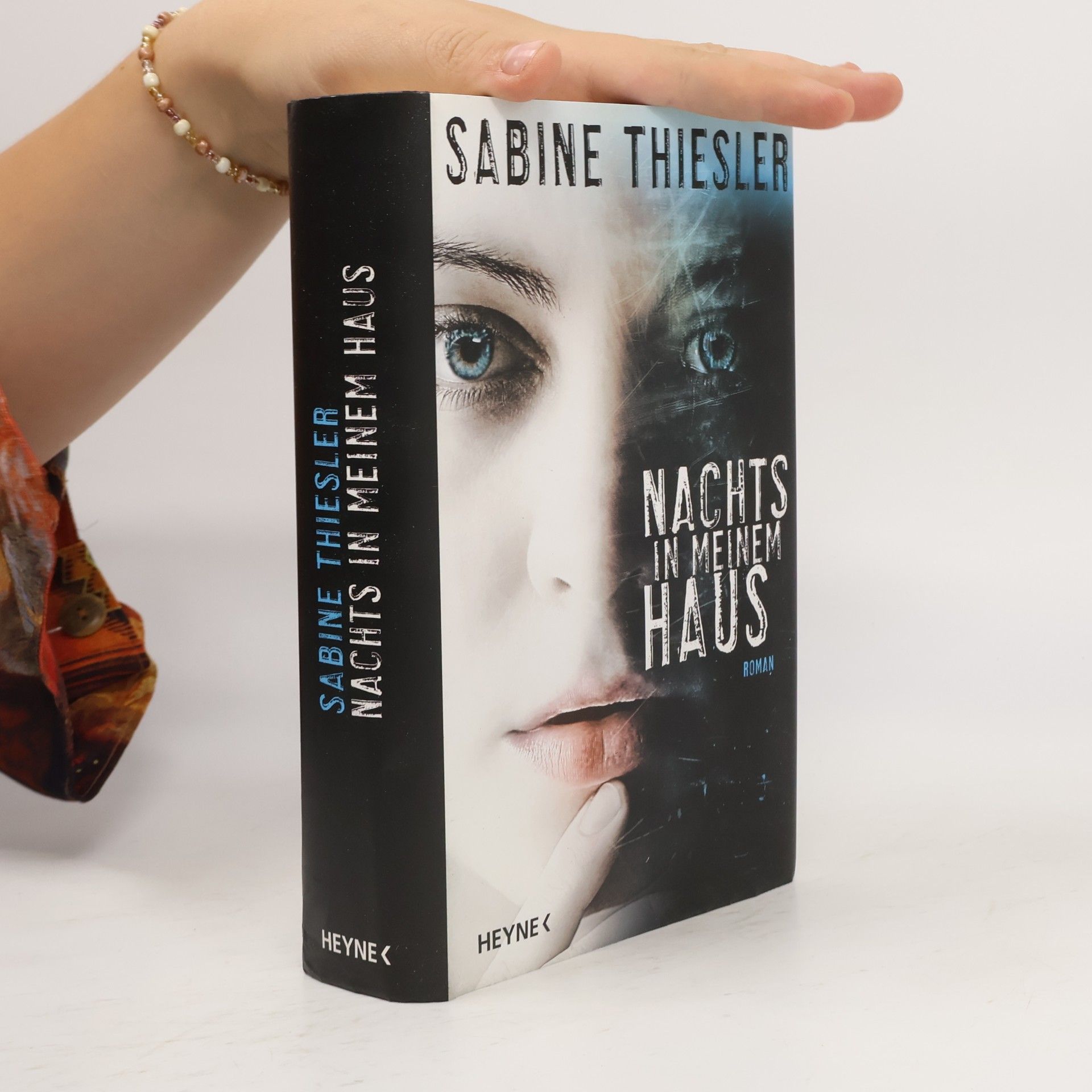 Sabine Thiesler Nachts in meinem Haus