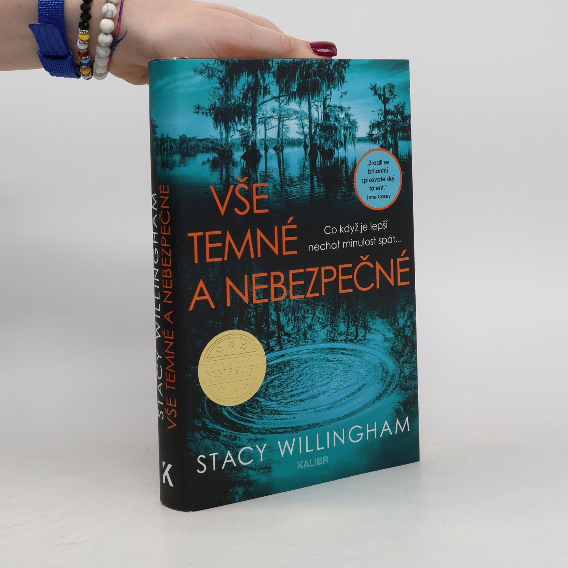 Stacy Willingham Vše temné a nebezpečné