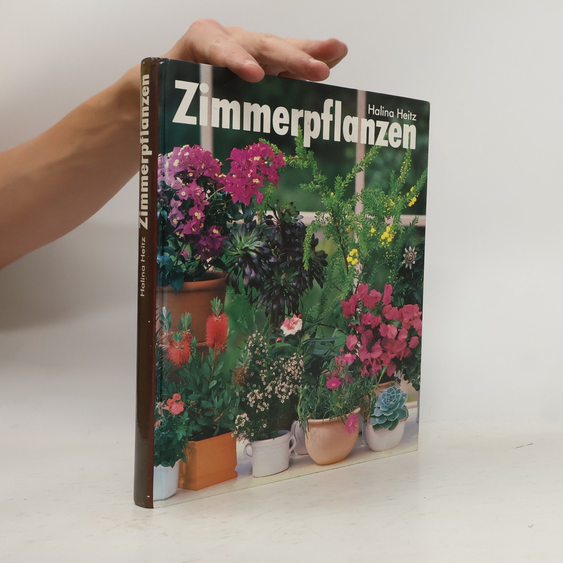 Halina Heitz Zimmerpflanzen