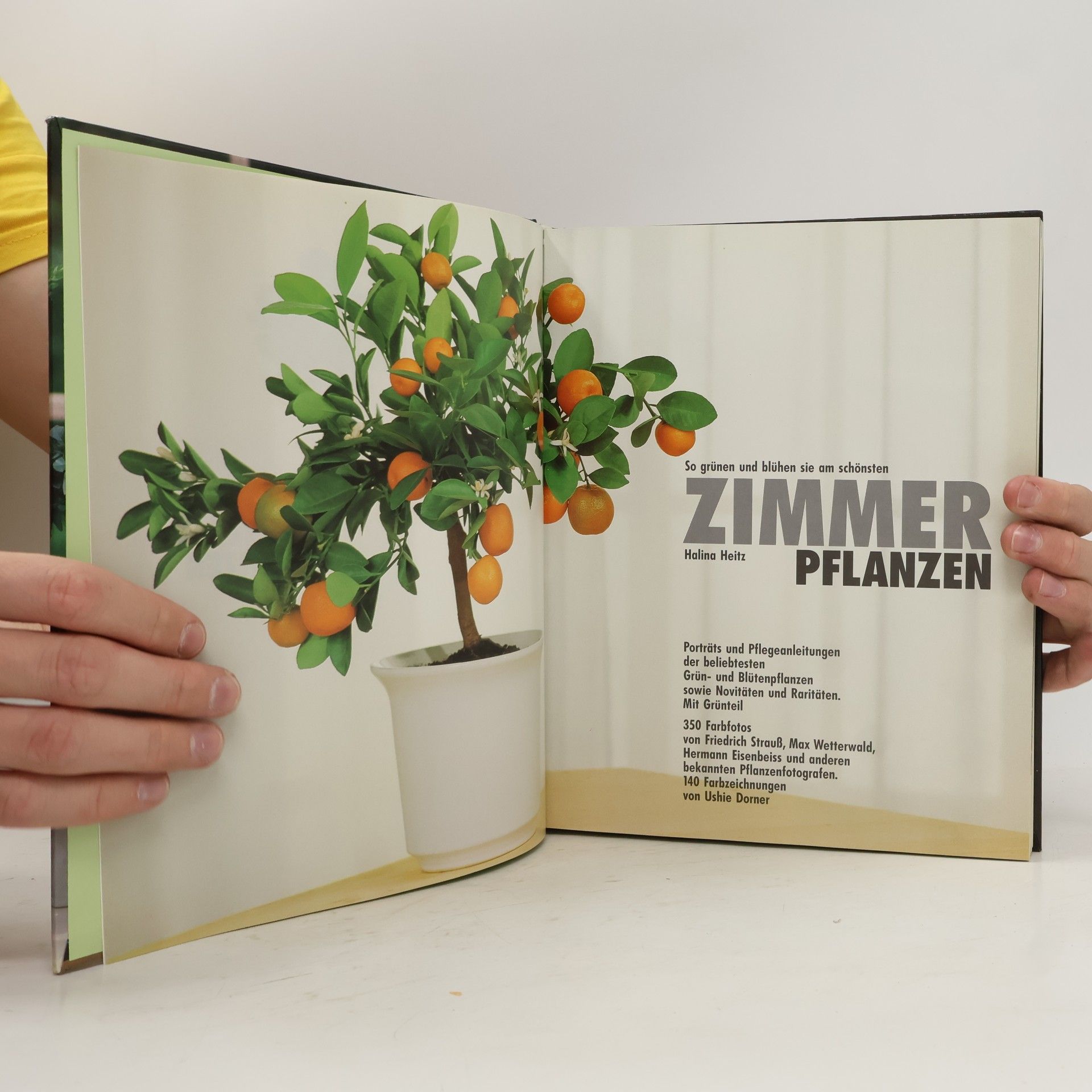Halina Heitz Zimmerpflanzen