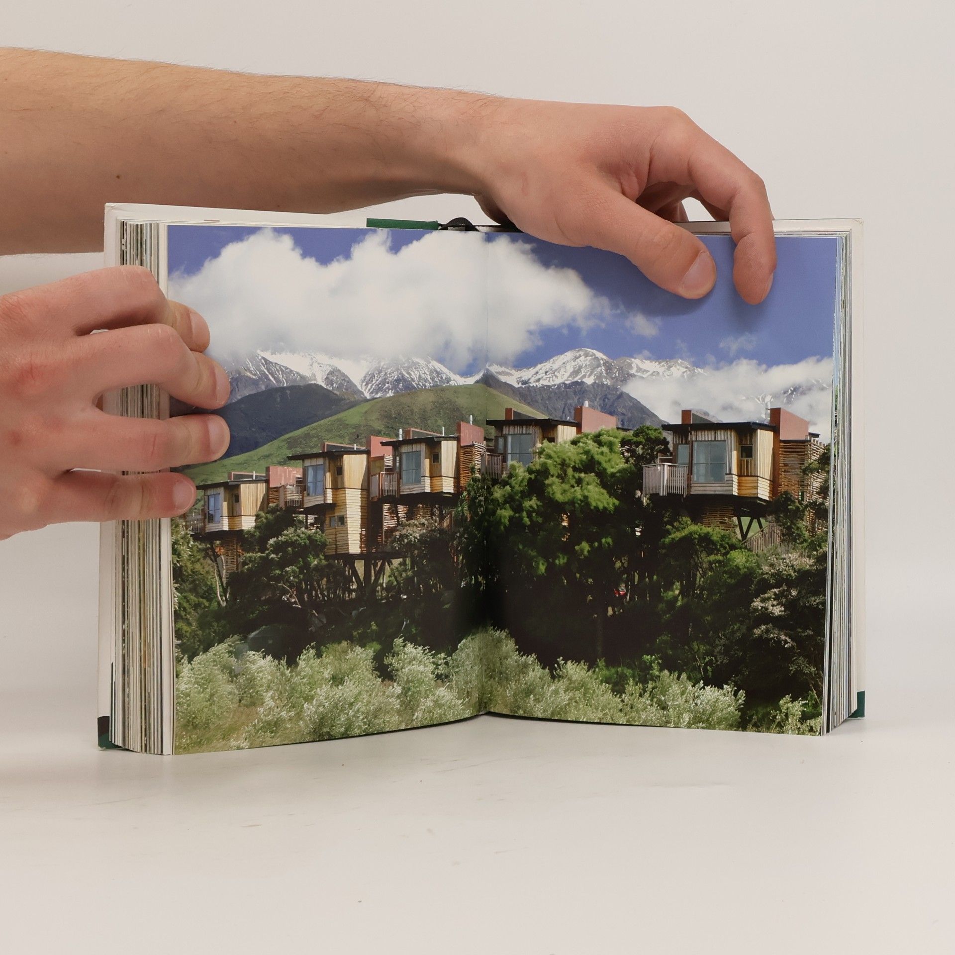 Philip Jodidio Tree houses : fairy-tale castles in the air