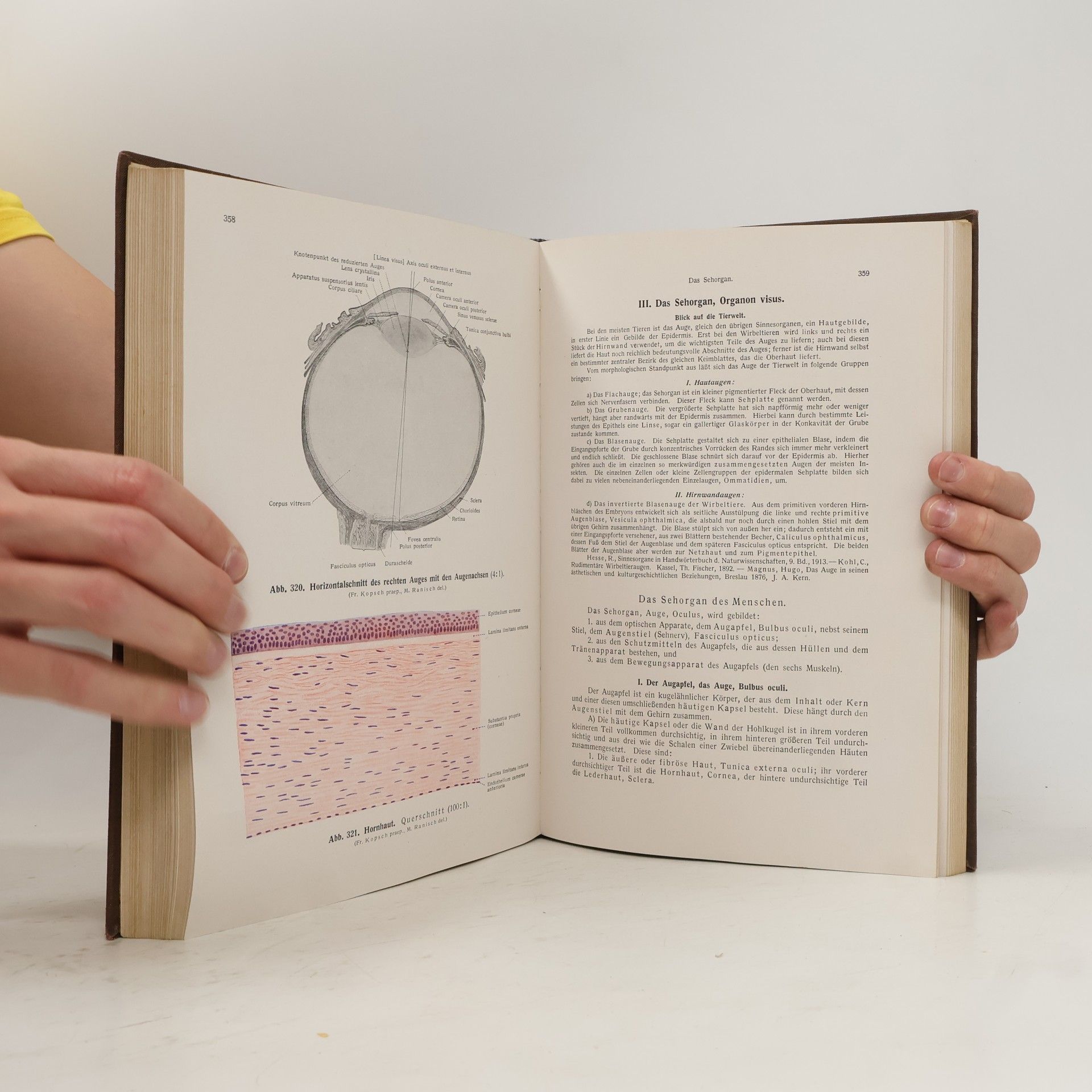 Friedrich Kopsch Lehrbuch und Atlas der Anatomie des Menschen (Band III)
