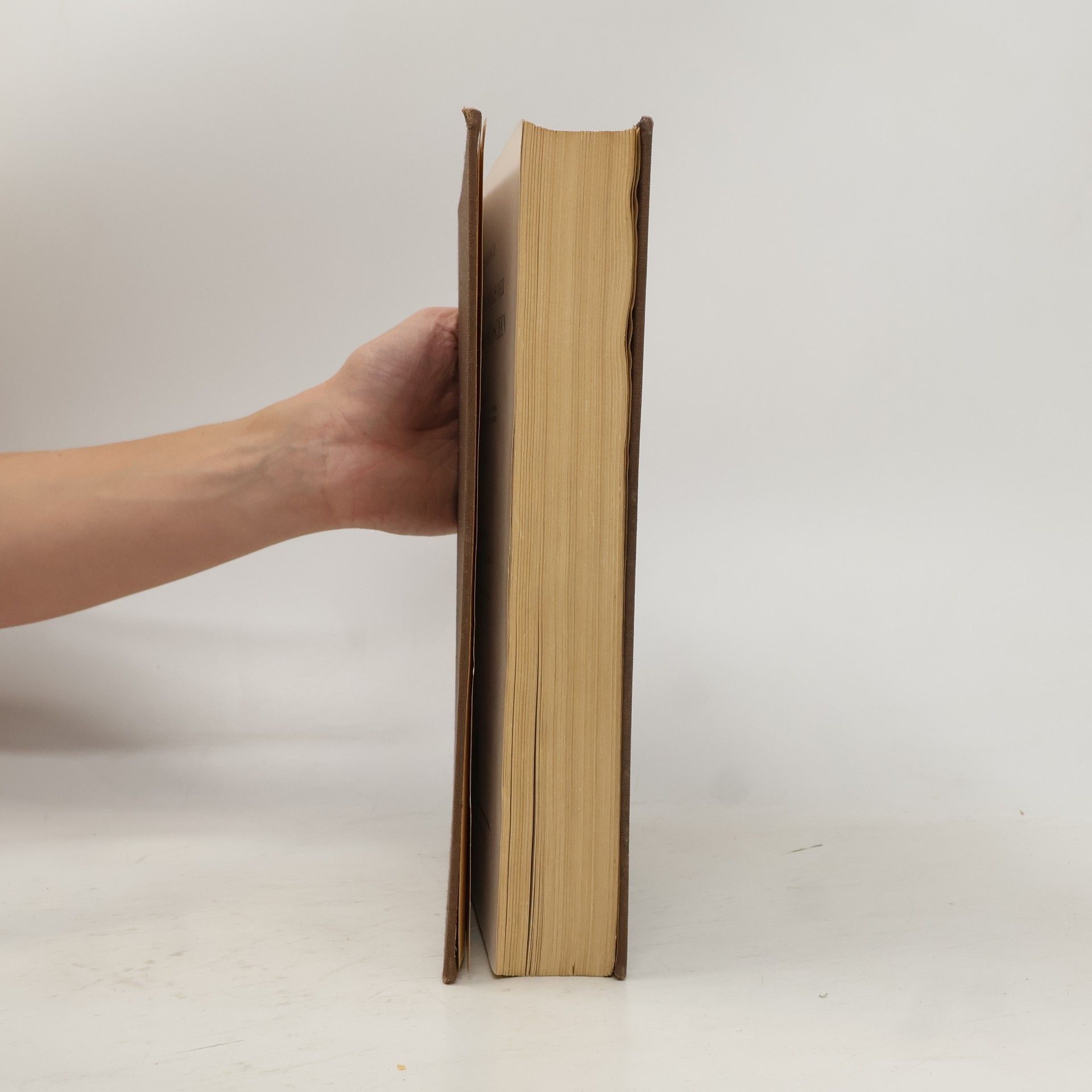 Rauber LEHRBUCH UND ATLAS DER ANATOMIE DES MENSCHEN