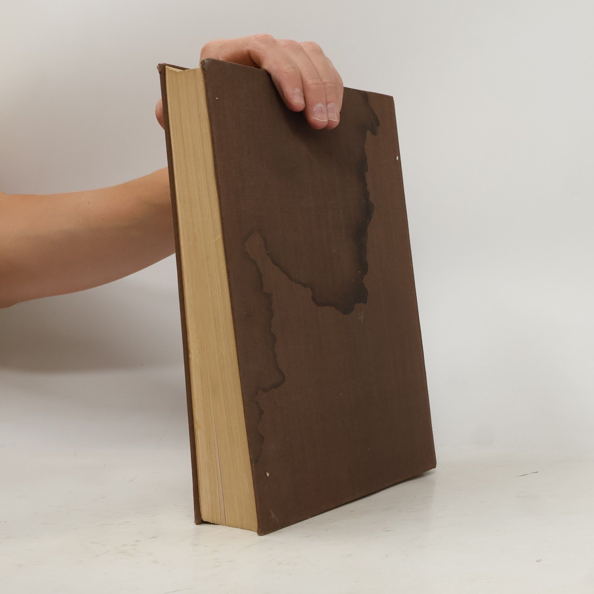 Rauber LEHRBUCH UND ATLAS DER ANATOMIE DES MENSCHEN