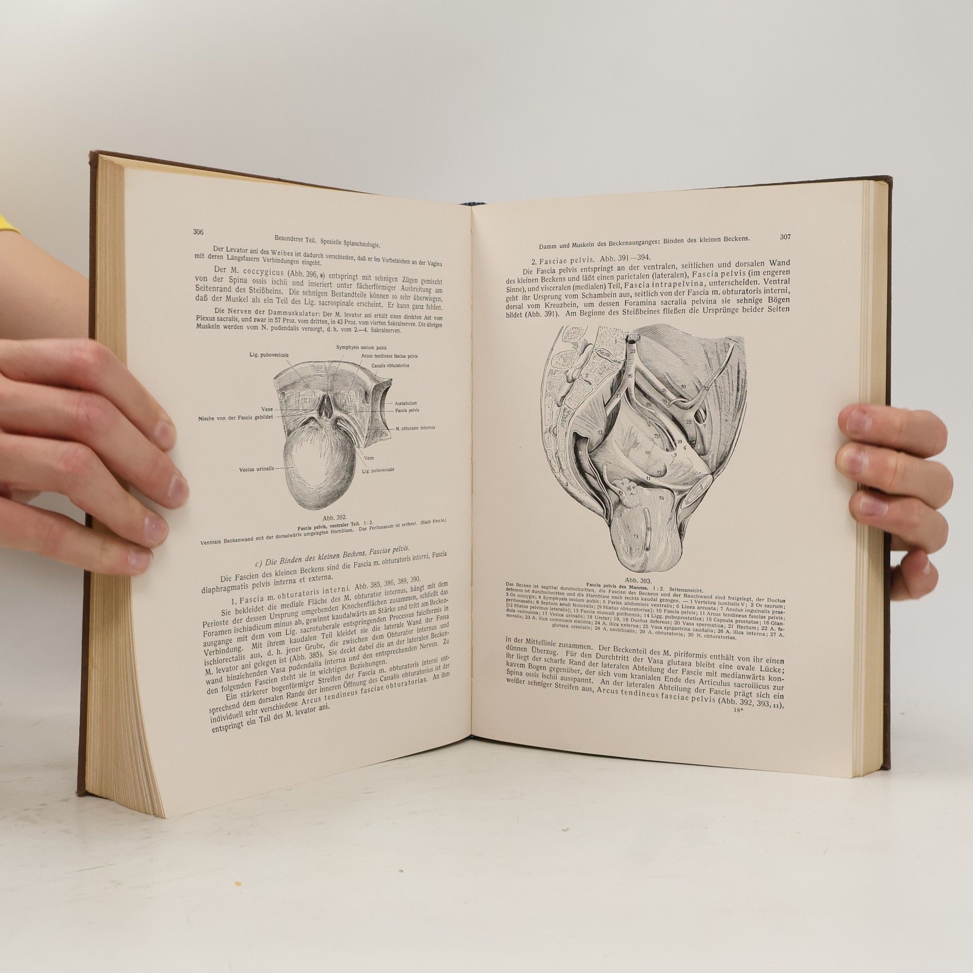 Rauber LEHRBUCH UND ATLAS DER ANATOMIE DES MENSCHEN