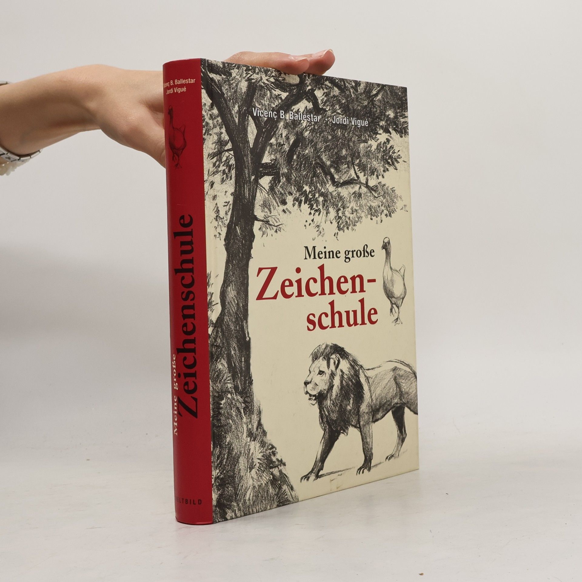 Vicenc Ballestar Meine große Zeichenschule