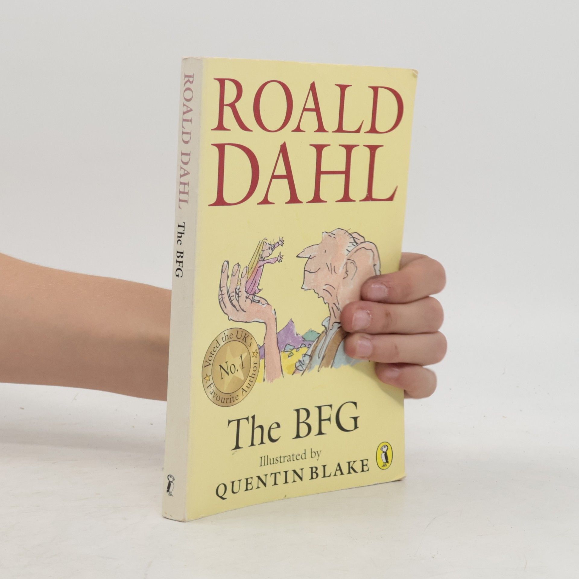 Roald Dahl The BFG