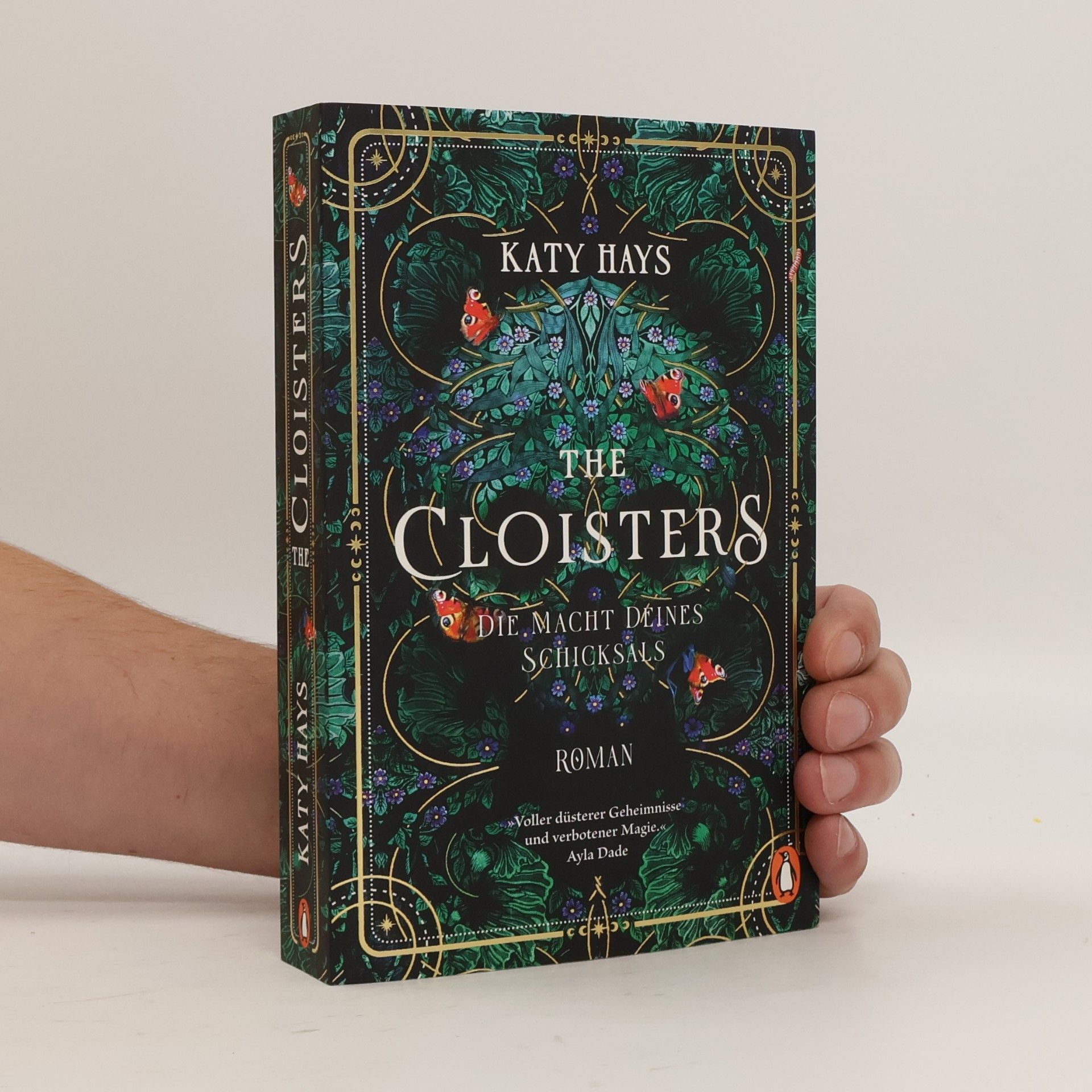 Katy Hays The Cloisters