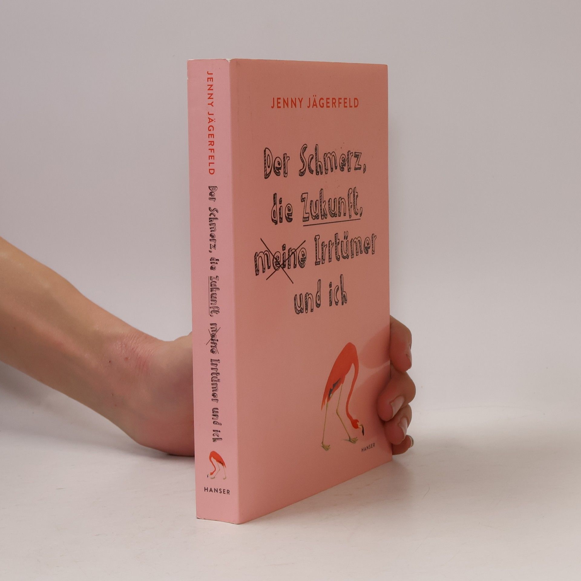 Jenny Jägerfeld Der Schmerz, die Zukunft, meine Irrtümer und ich
