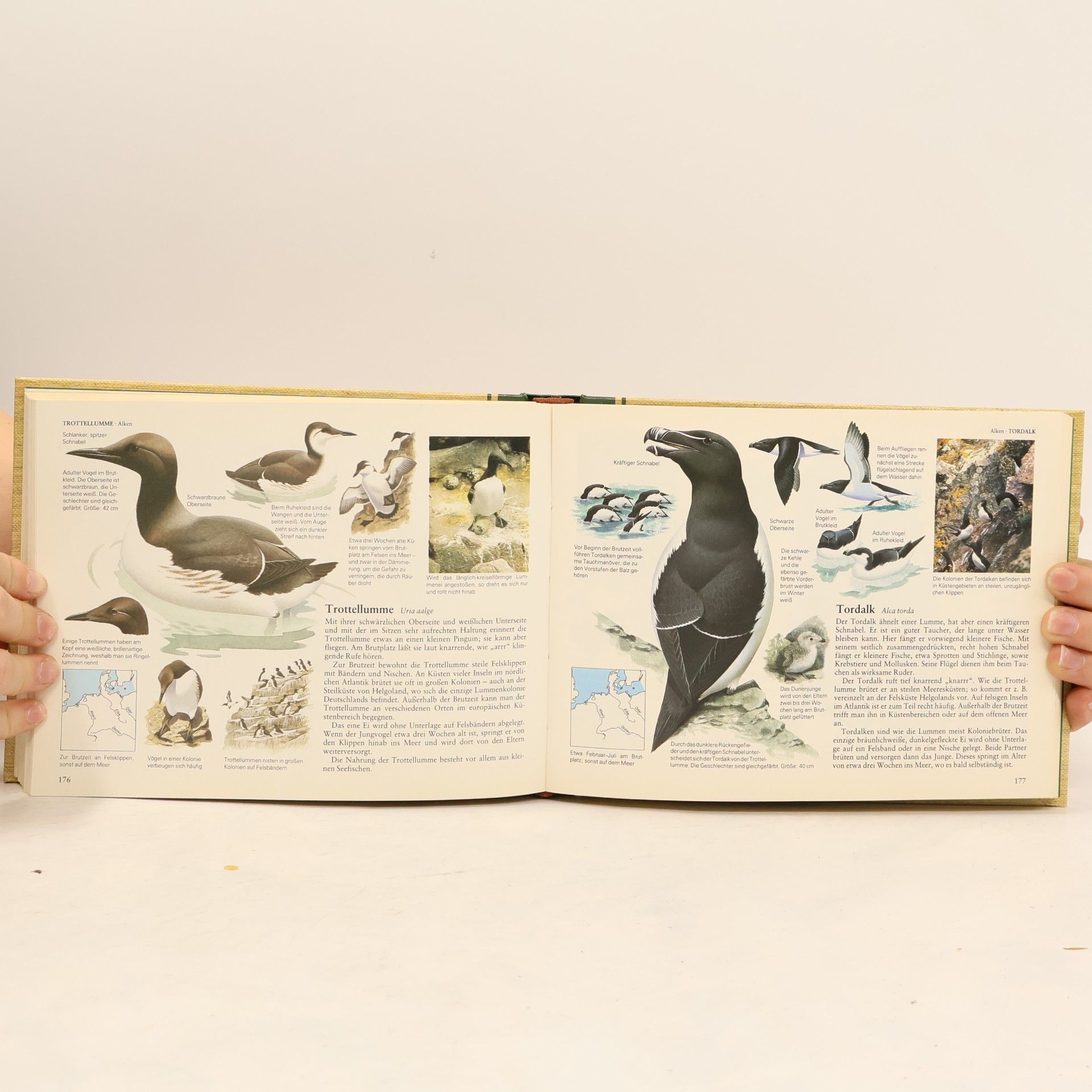 Auteurscollectief Wegweiser durch die Natur. Vögel Mitteleuropas