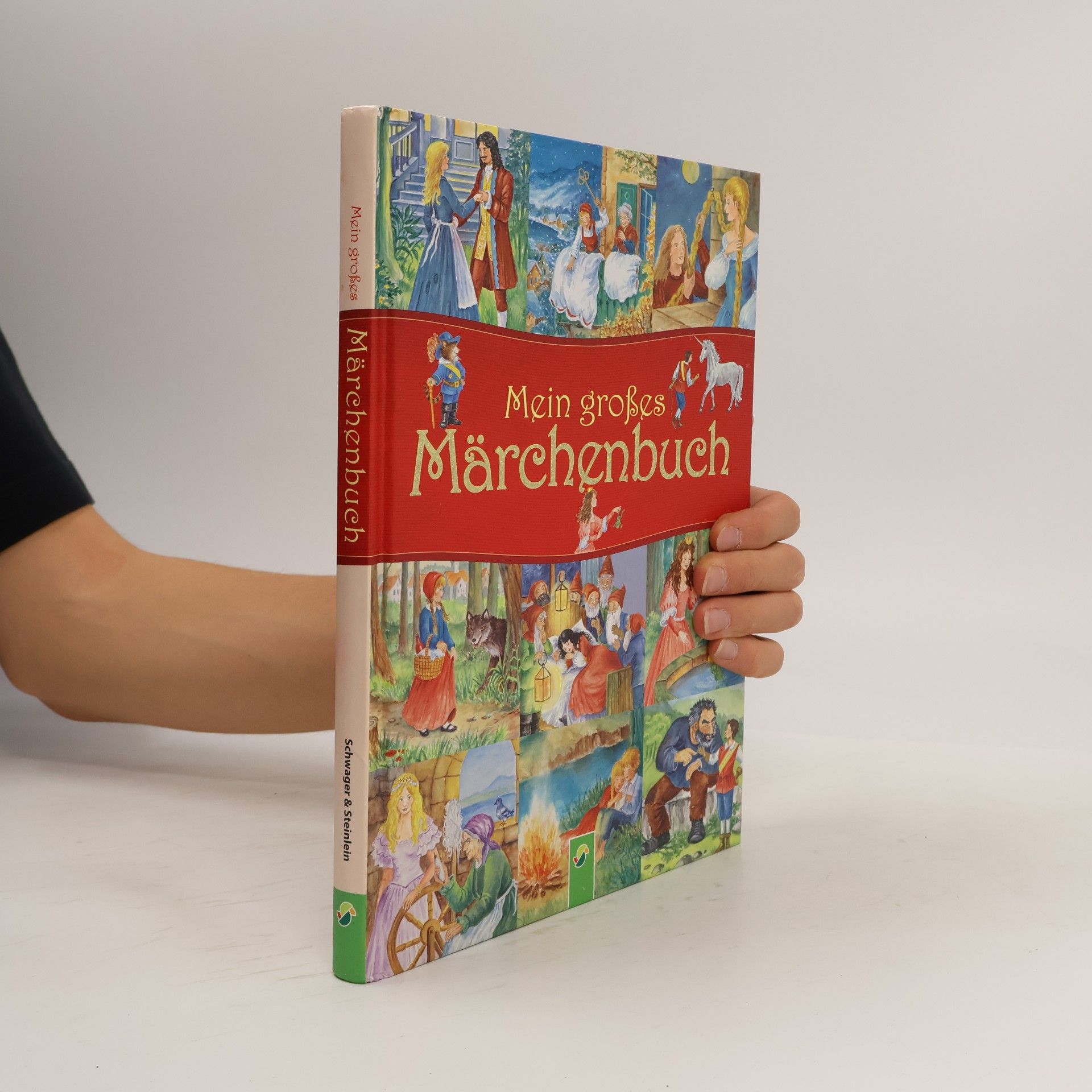 Dagmar Kammerer Mein großes Märchenbuch
