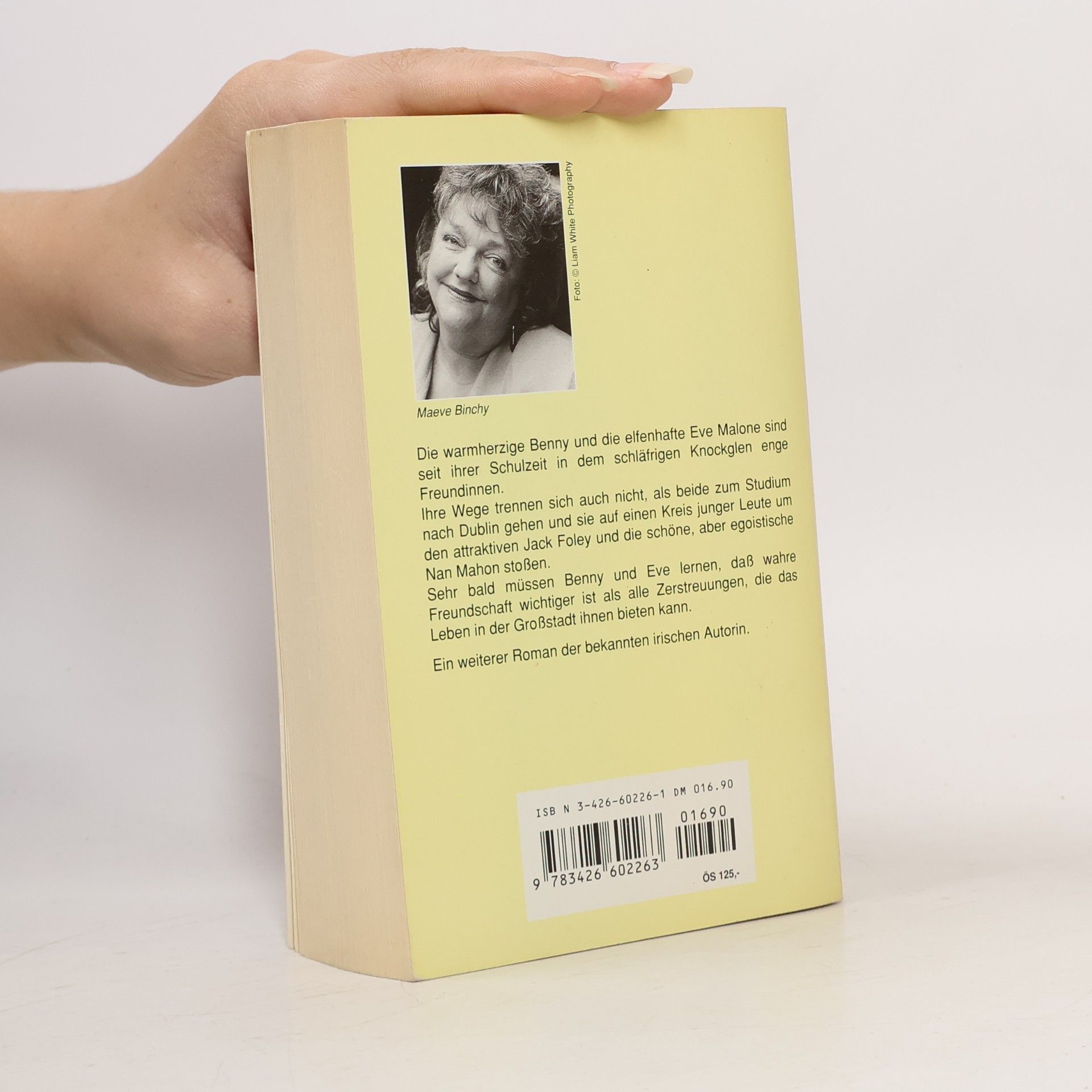 Maeve Binchy Im Kreis der Freunde
