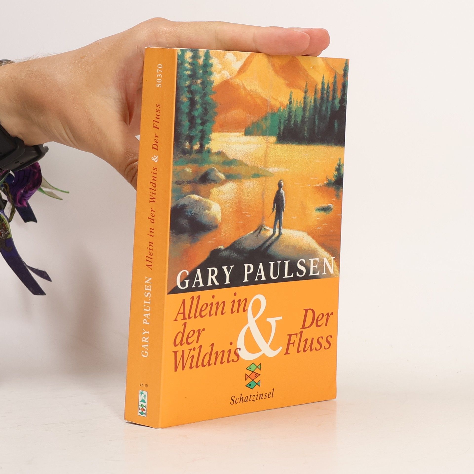 Gary Paulsen Allein in der Wildnis. Der Fluss.