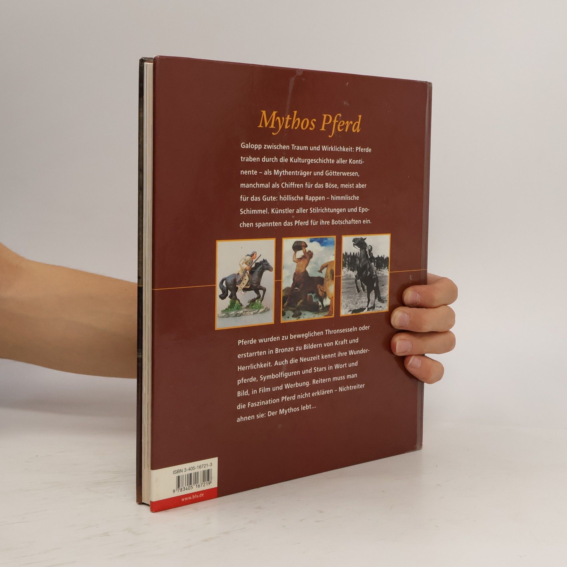 Veronika Straass Mythos Pferd