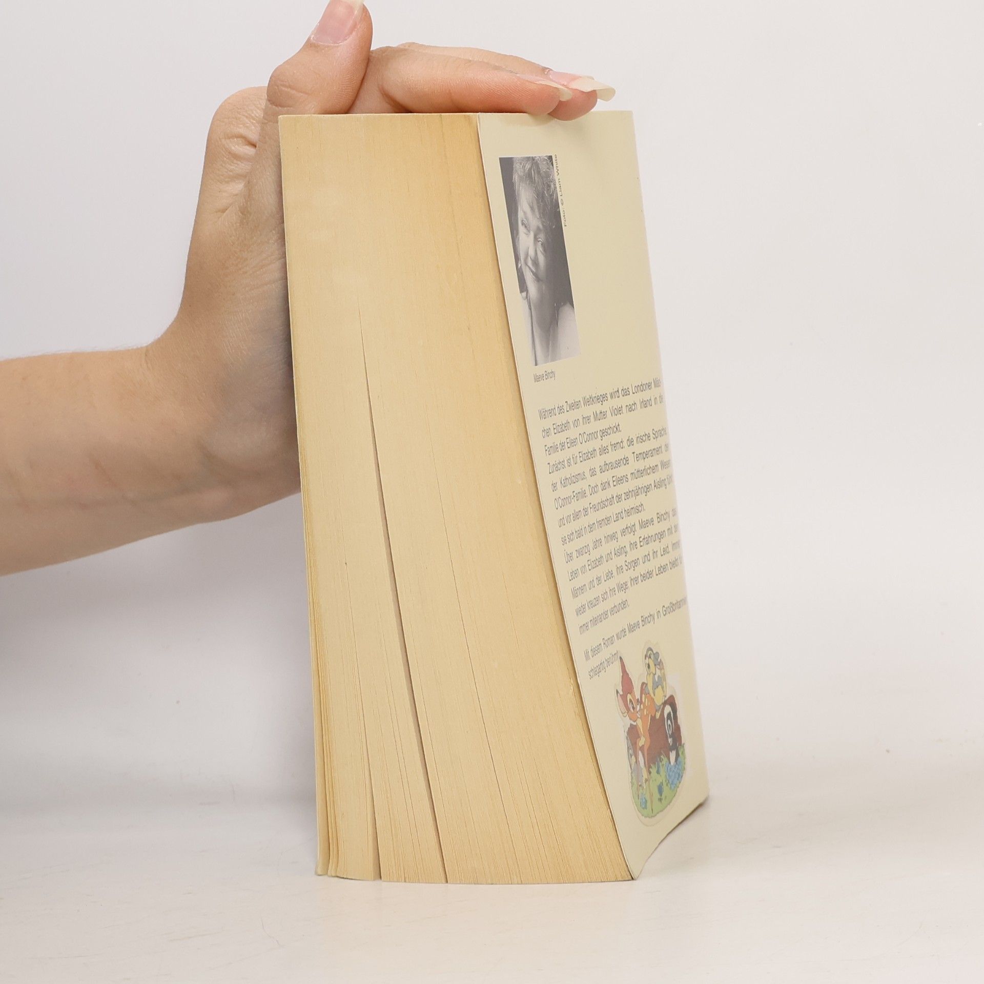 Maeve Binchy Irische Freundschaften