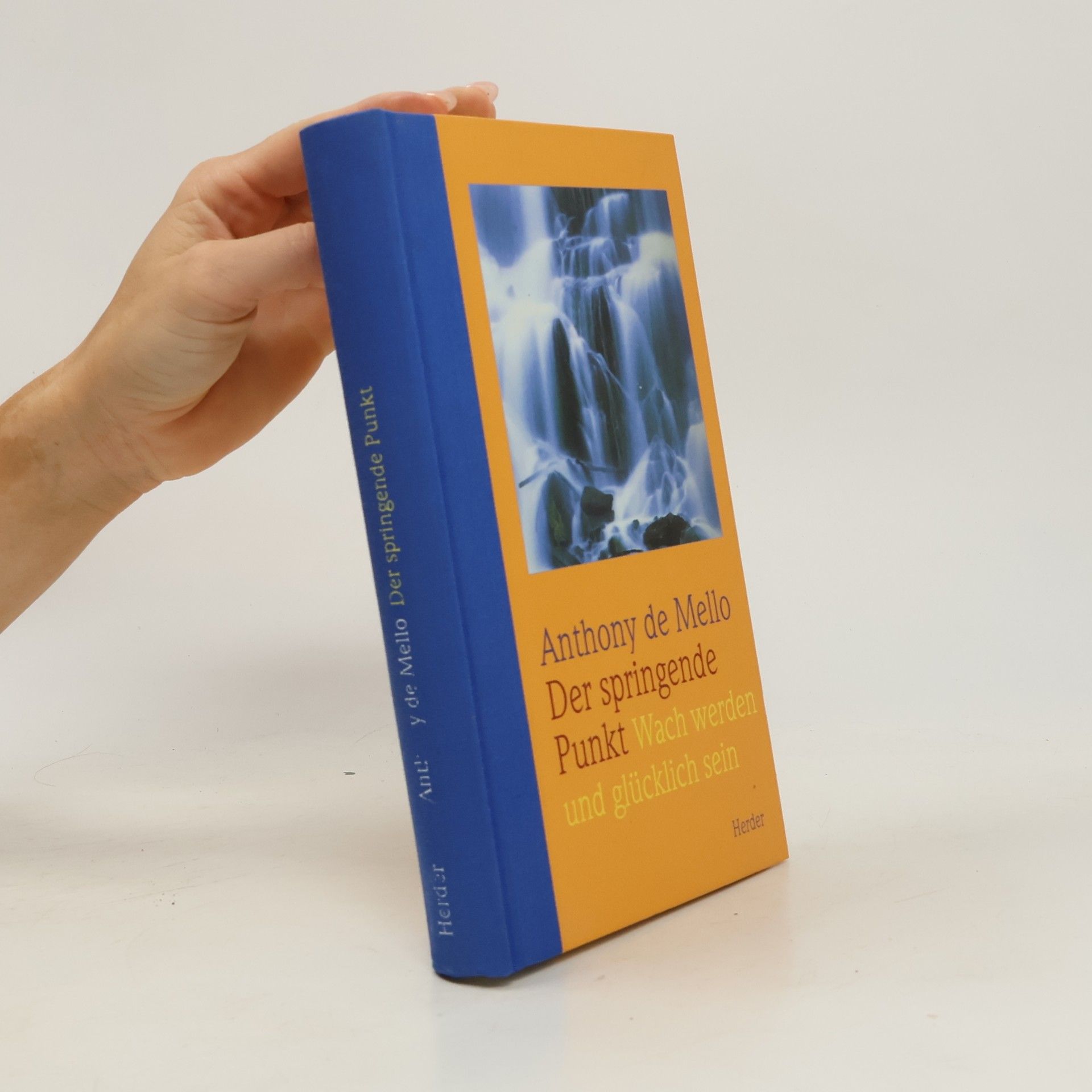 Anthony de Mello Der springende Punkt