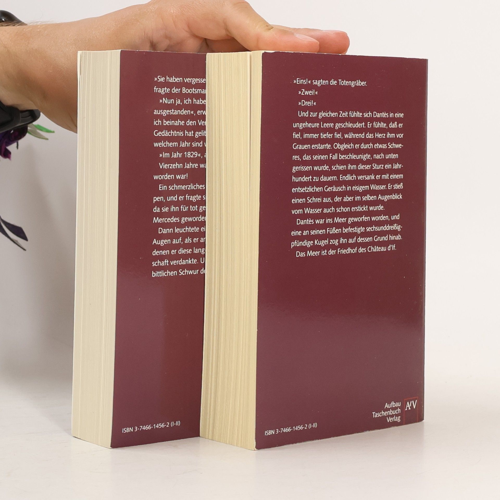 Alexandre Dumas Der Graf von Monte Christo 1-2