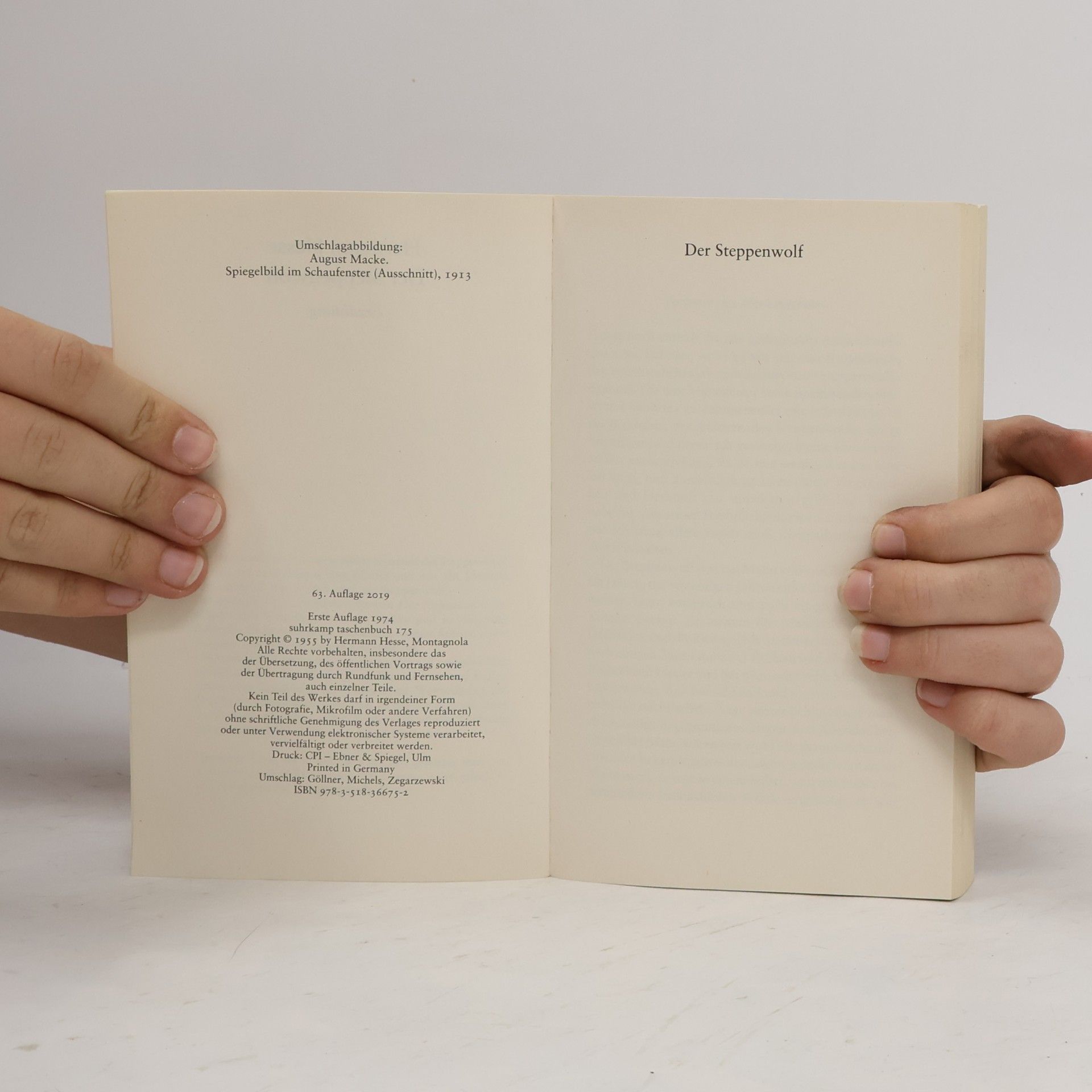 Hermann Hesse Der Steppenwolf
