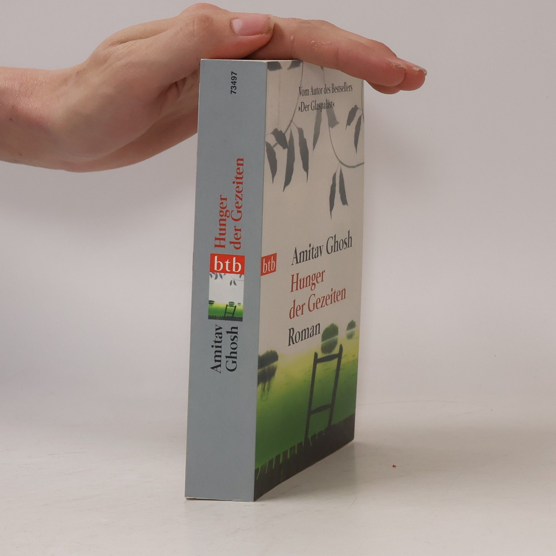 Amitav Ghosh Hunger der Gezeiten