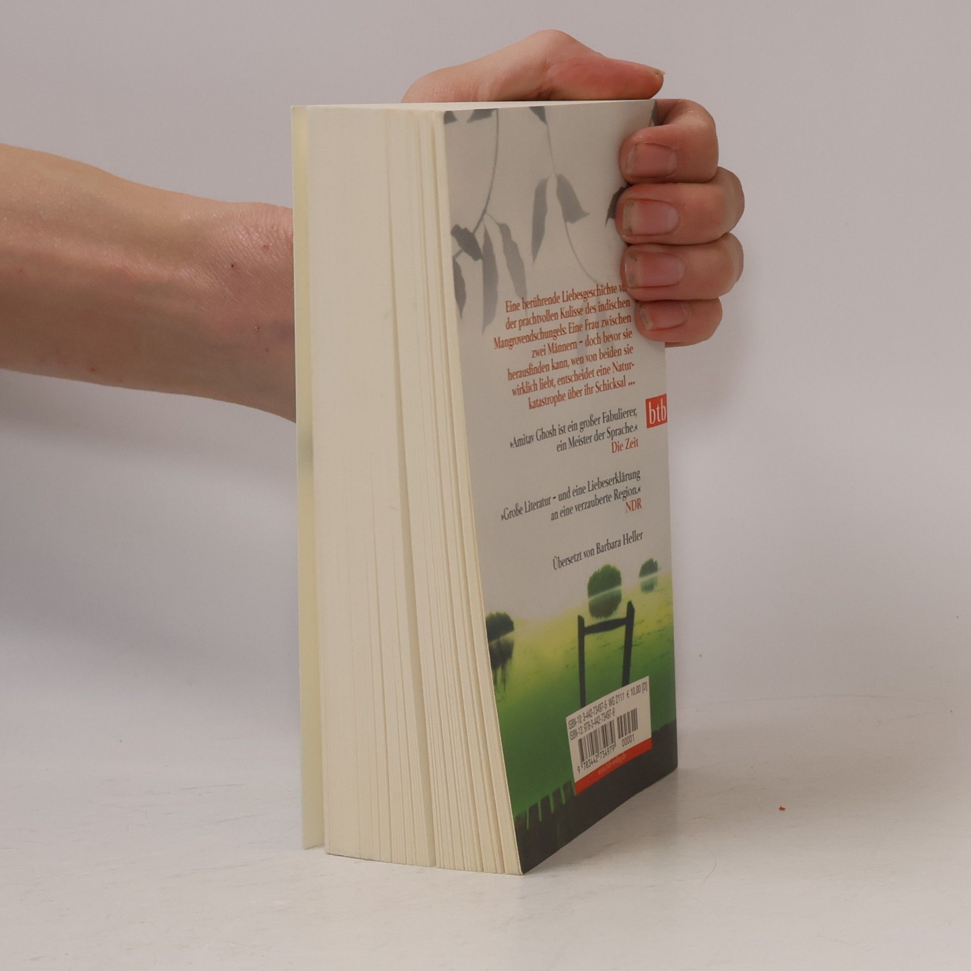 Amitav Ghosh Hunger der Gezeiten