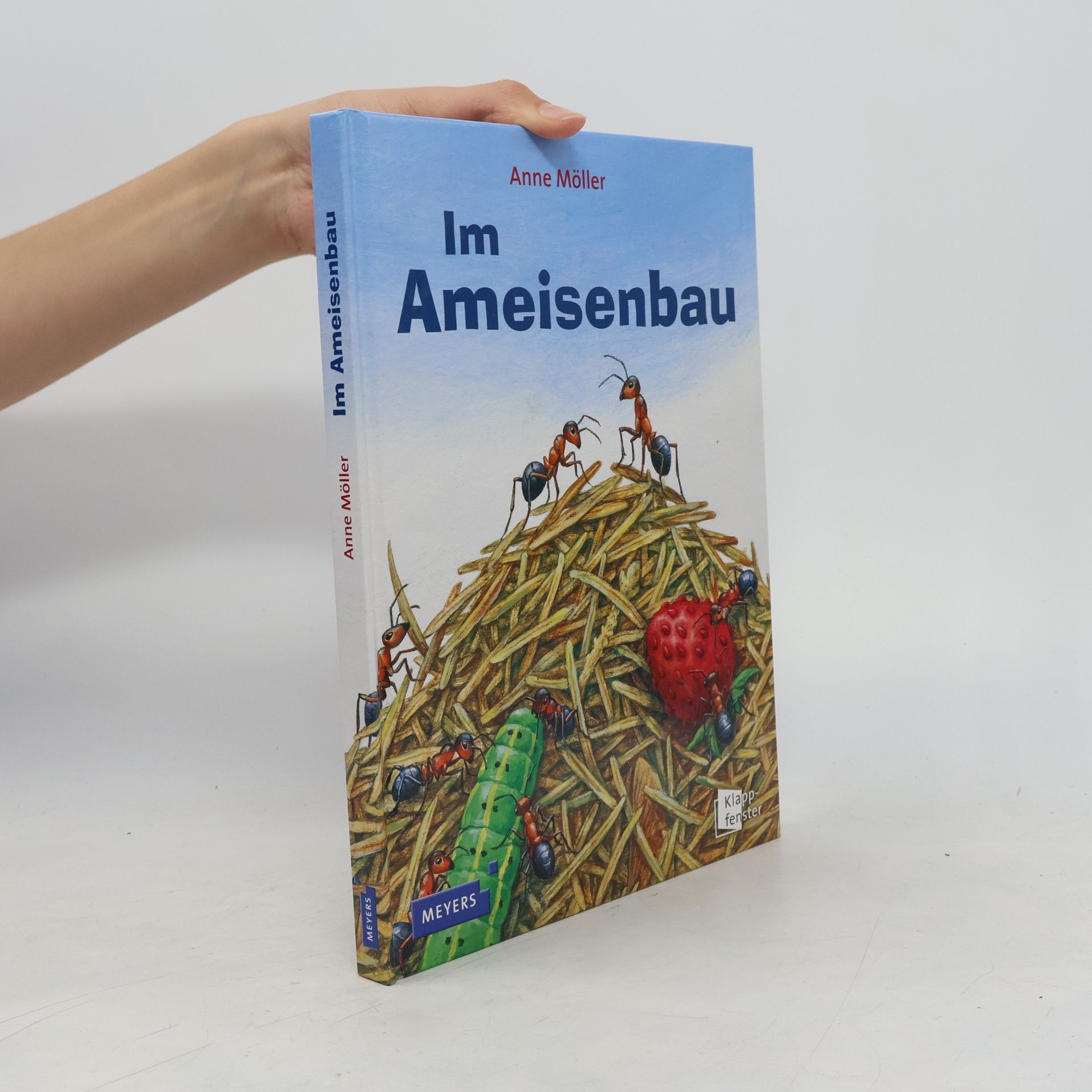 Im Ameisenbau