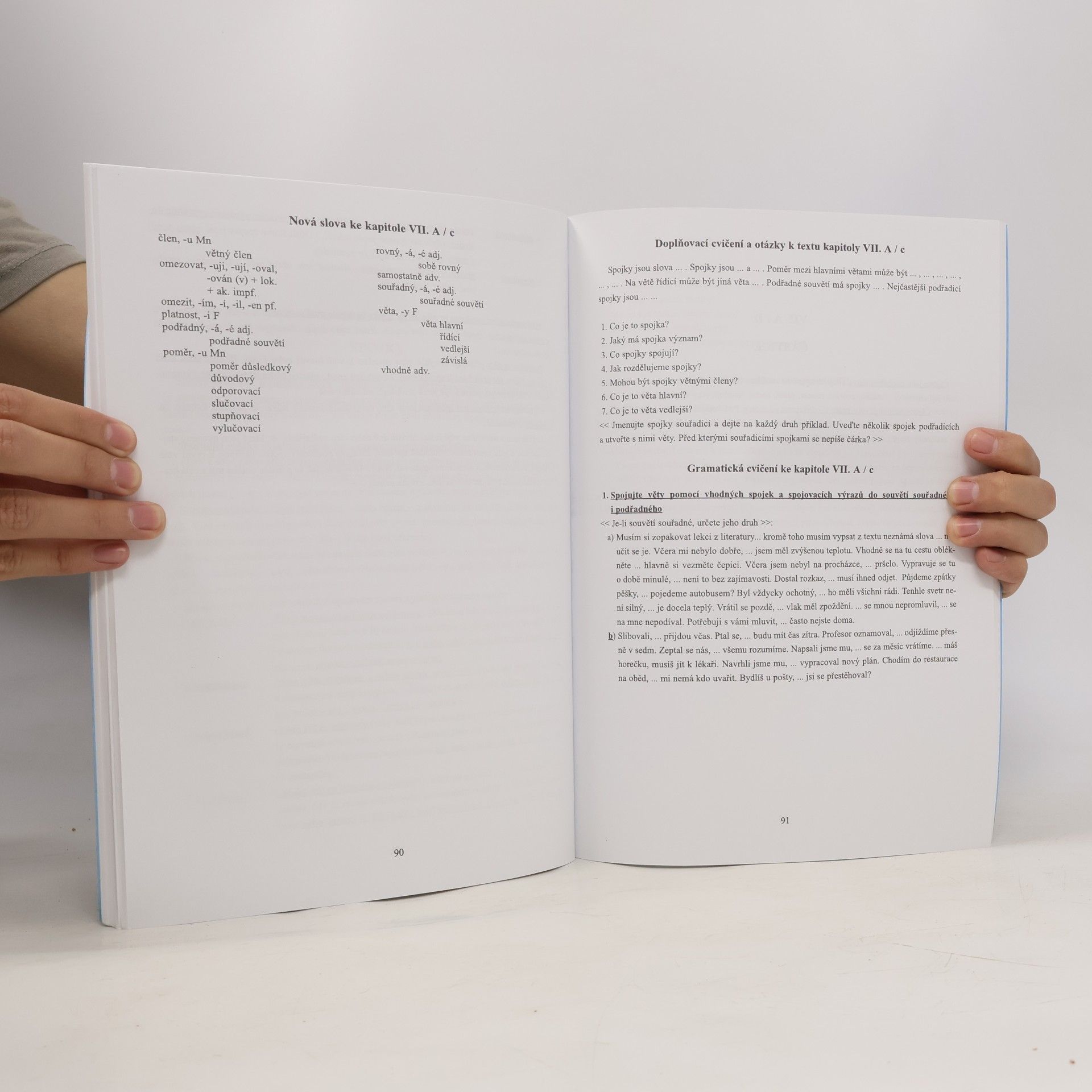 Hana Vinopalová Základní mluvnice češtiny pro zahraniční studenty
