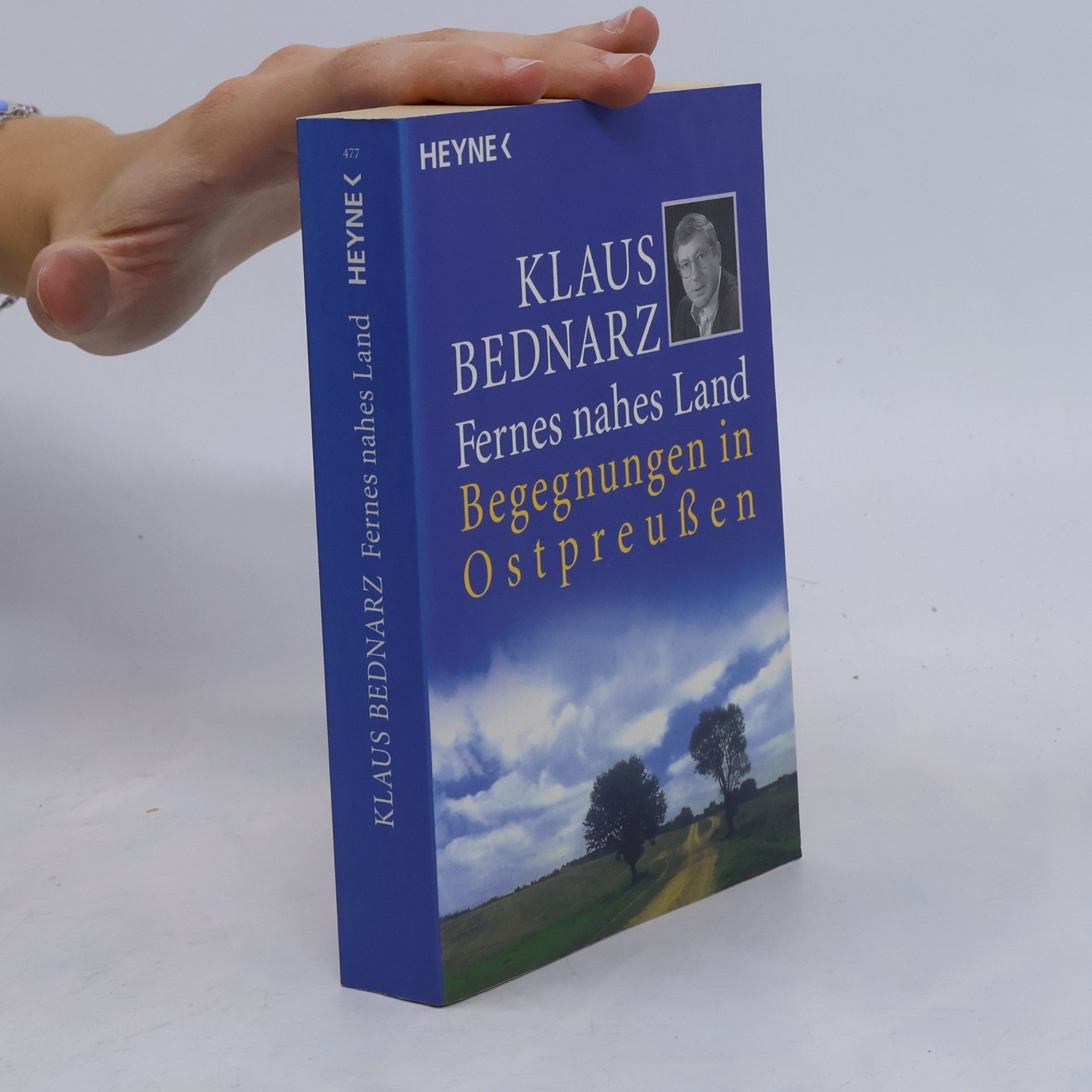 Klaus Bednarz Fernes nahes Land