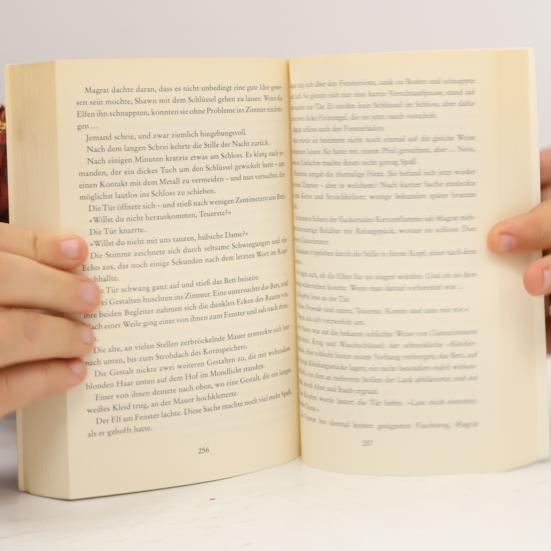 Terry Pratchett Lords und Ladies