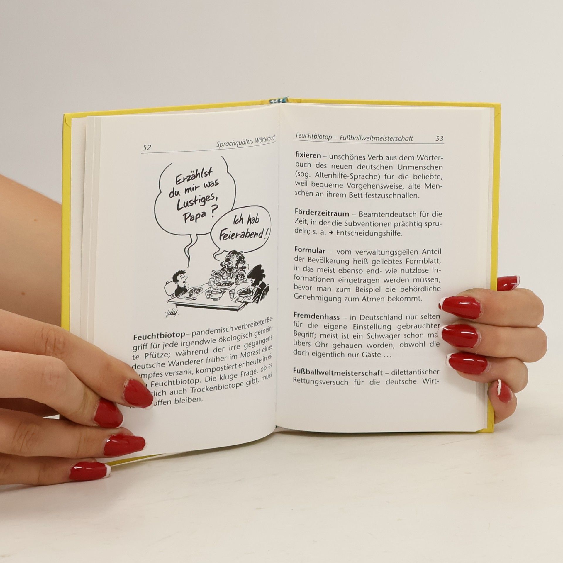 Ferris Goldenstein Sprachquälers Wörterbuch