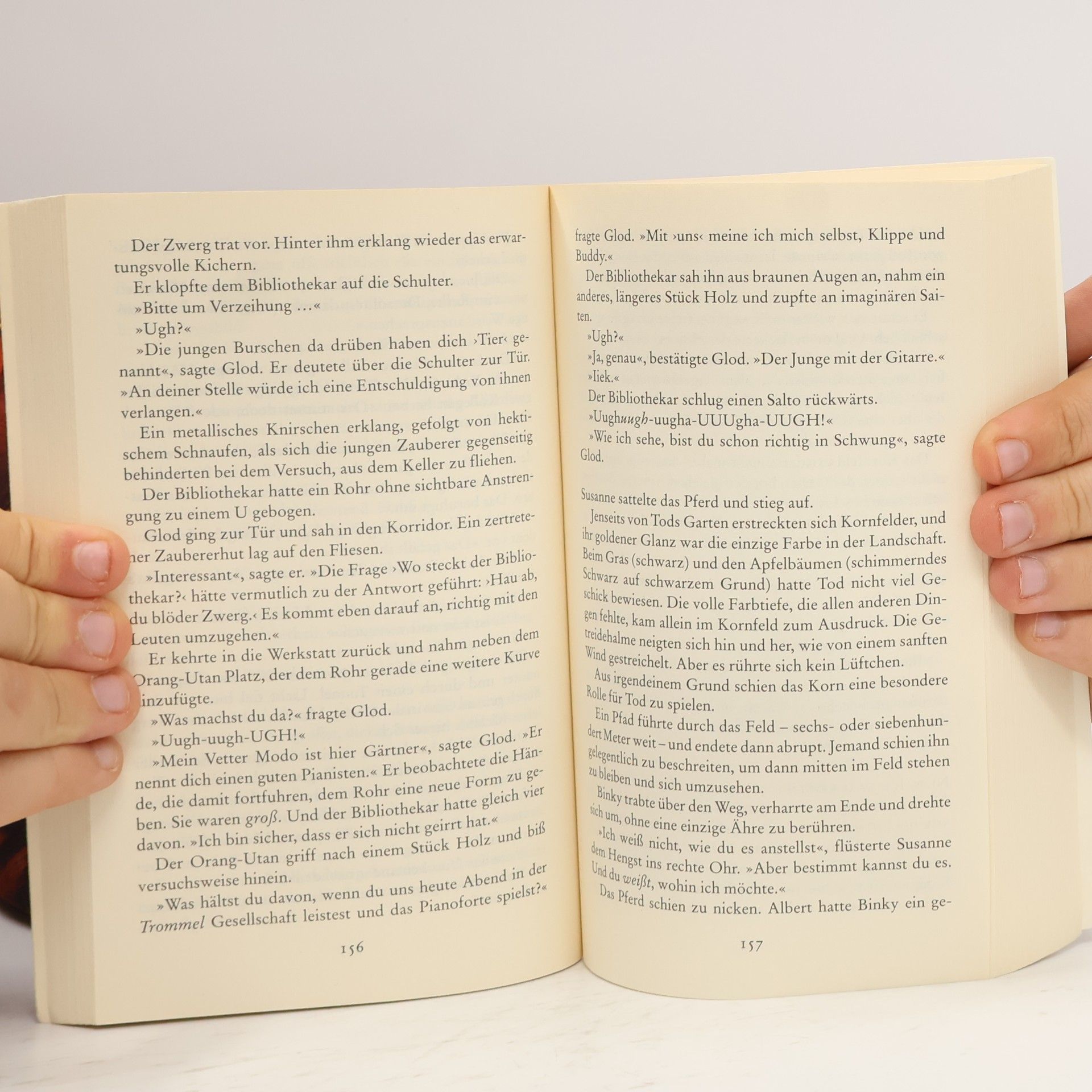 Terry Pratchett Rollende Steine