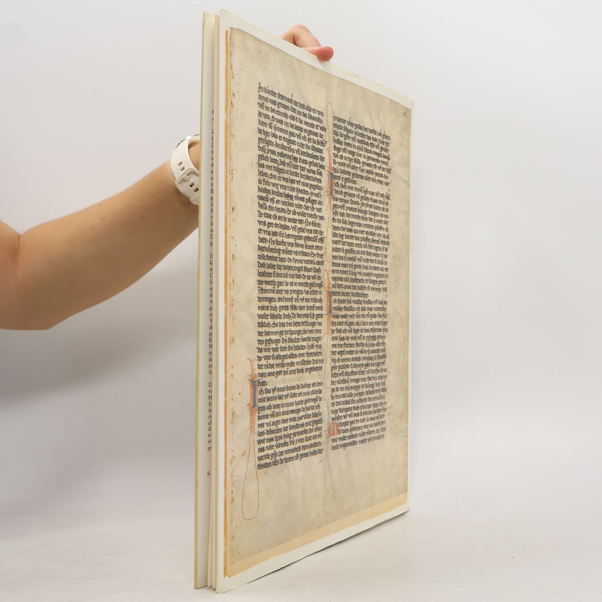 Various authors Manessische Handschrift