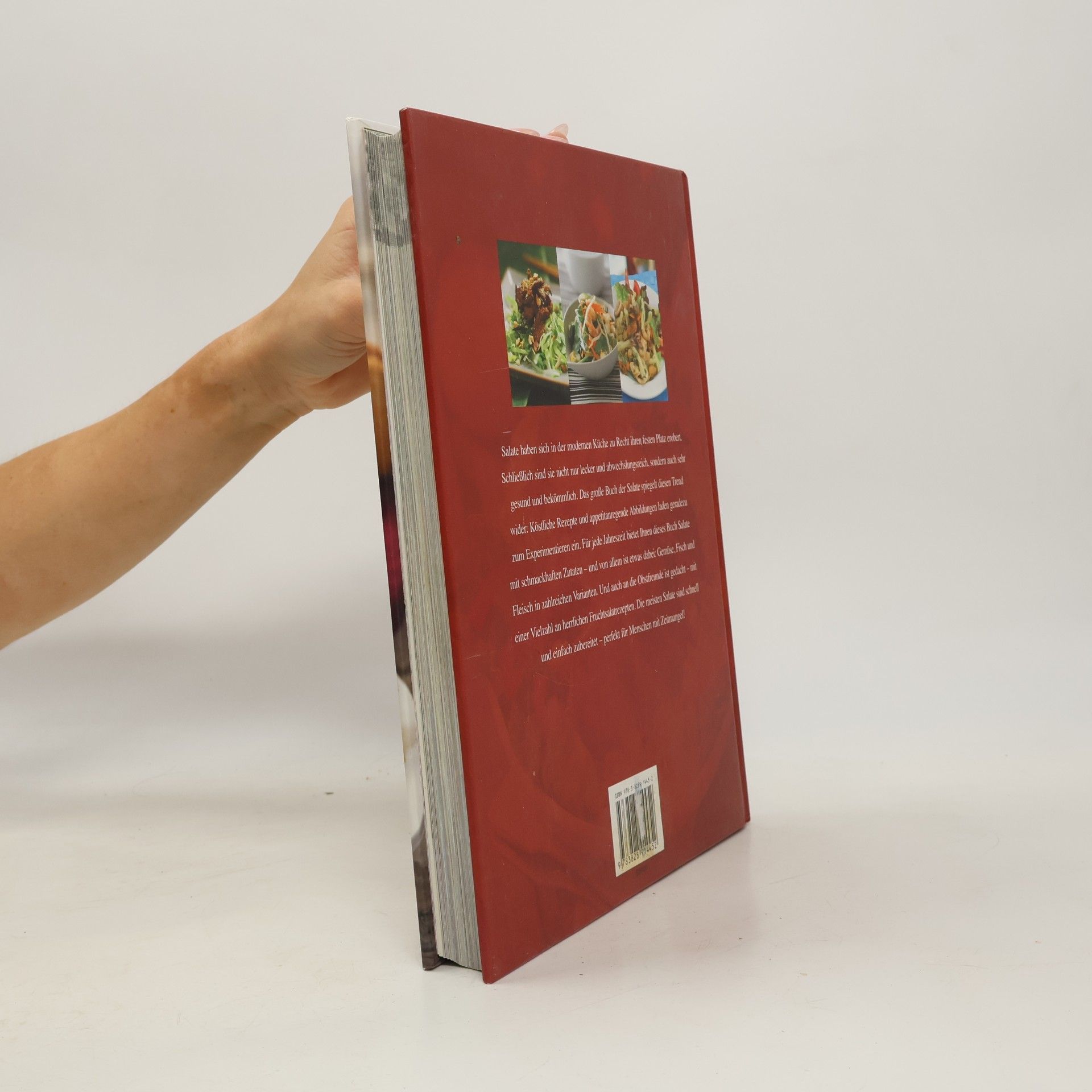 Angela Drake Das große Buch der Salate