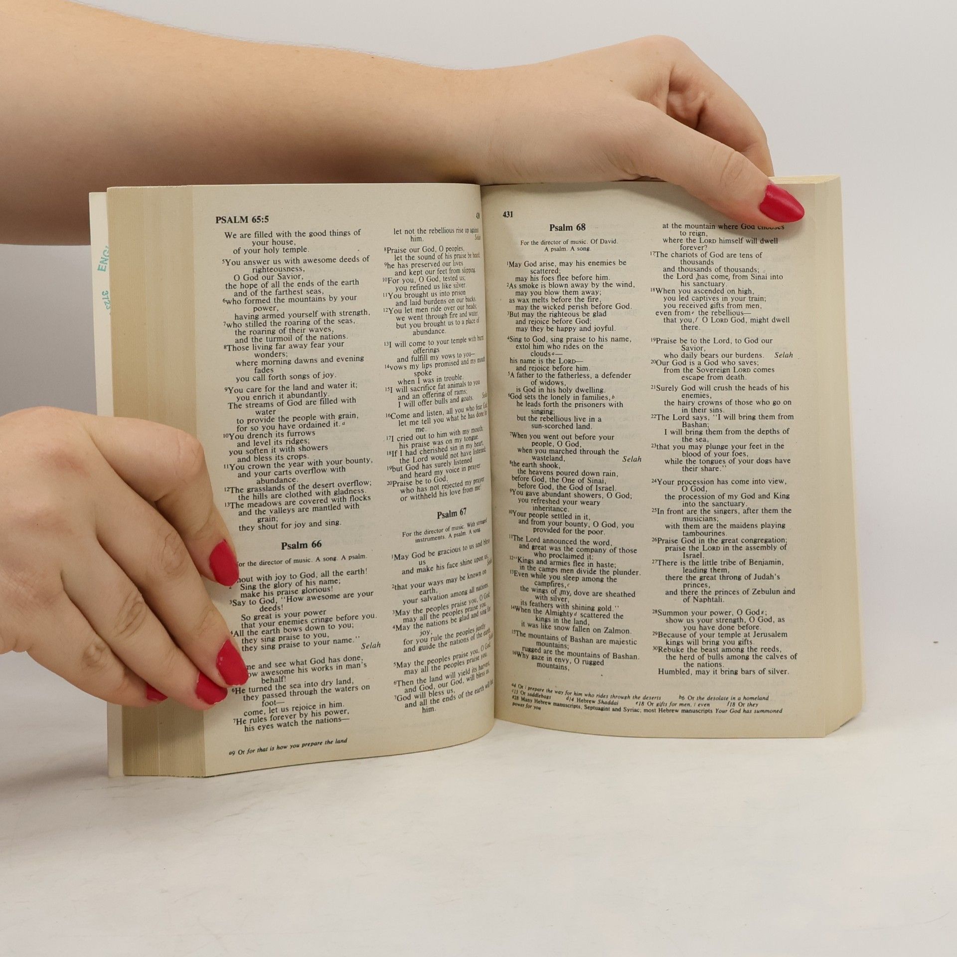 Kolektív autorov God's Word