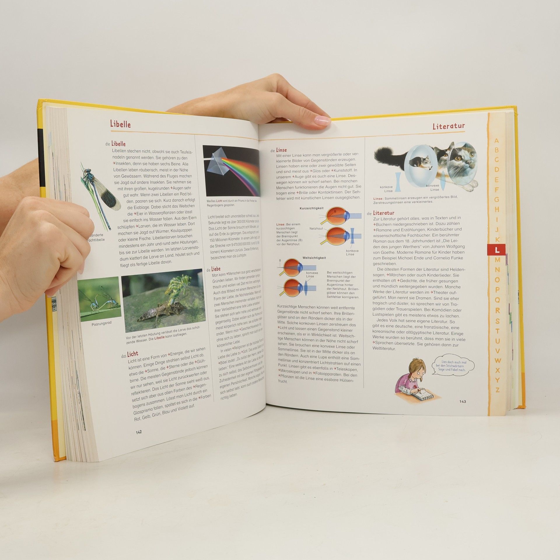 Autorenkollektiv Grundschul-Lexikon