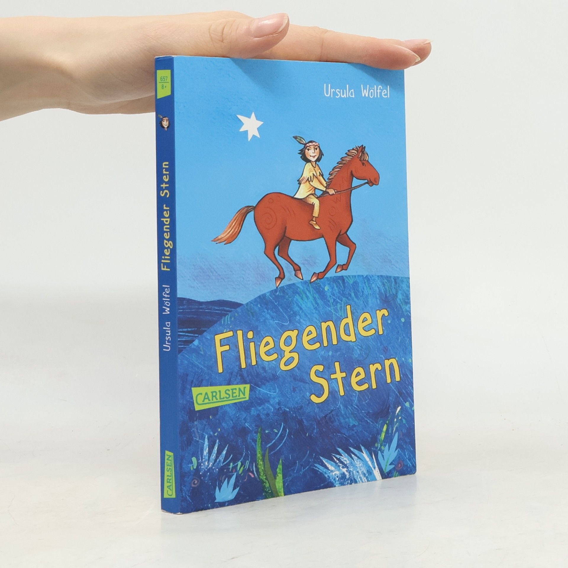 Ursula Wölfel Fliegender Stern
