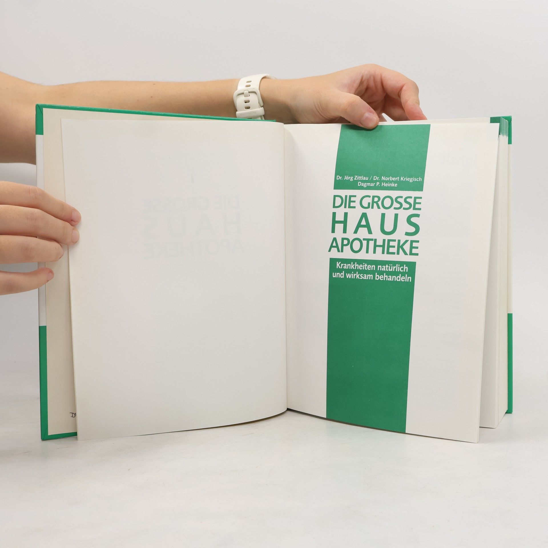 Various authors Die grosse Hausapotheke