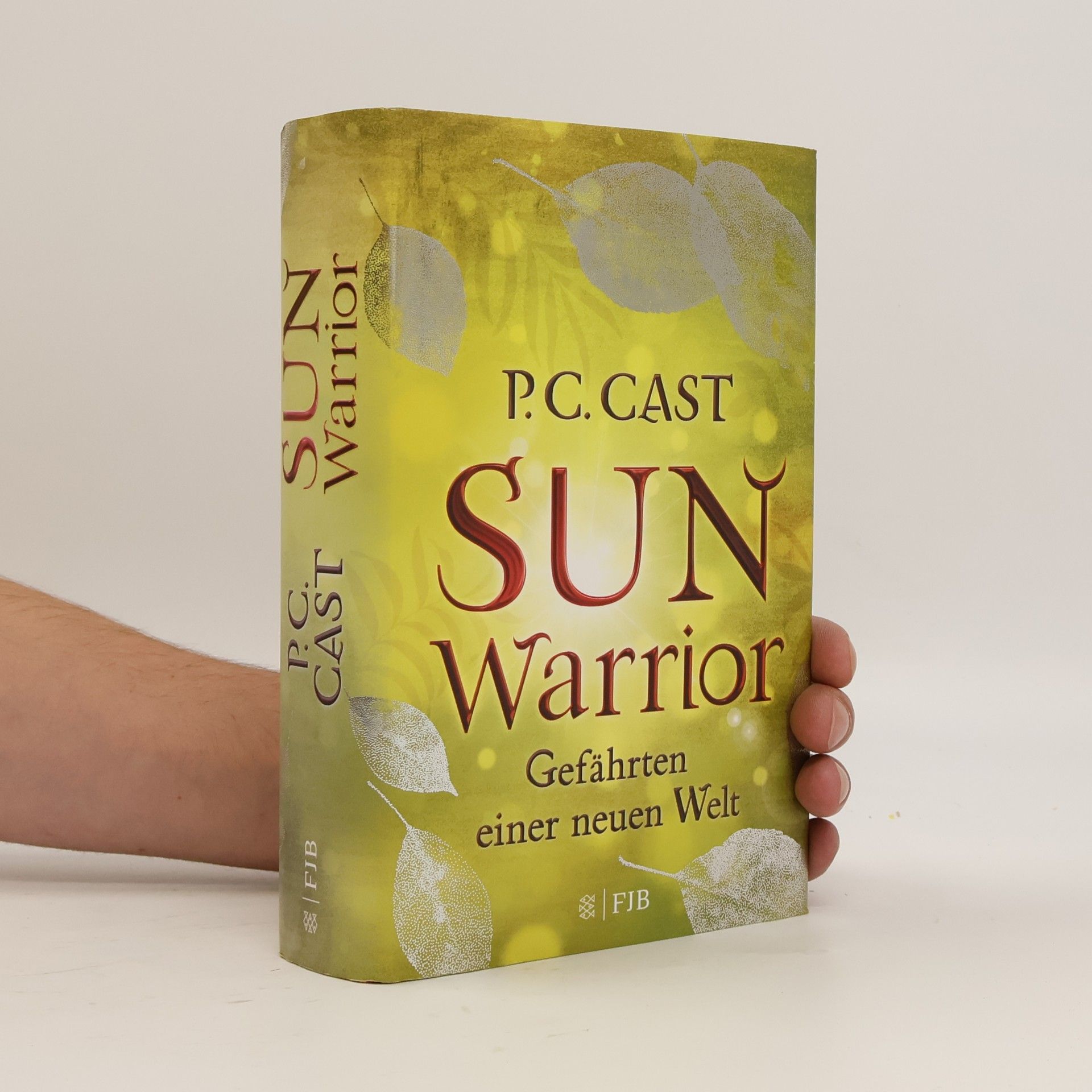 Sun Warrior