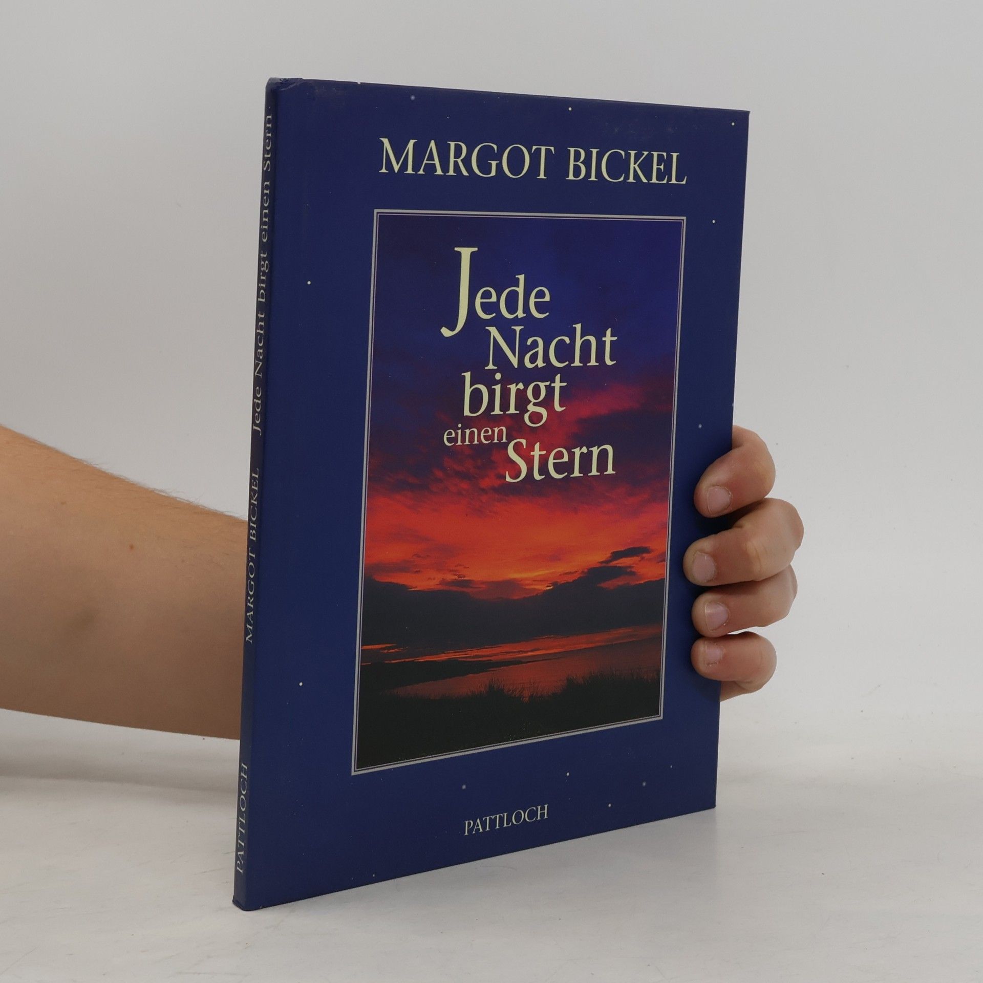 Margot Bickel Jede Nacht birgt einen Stern