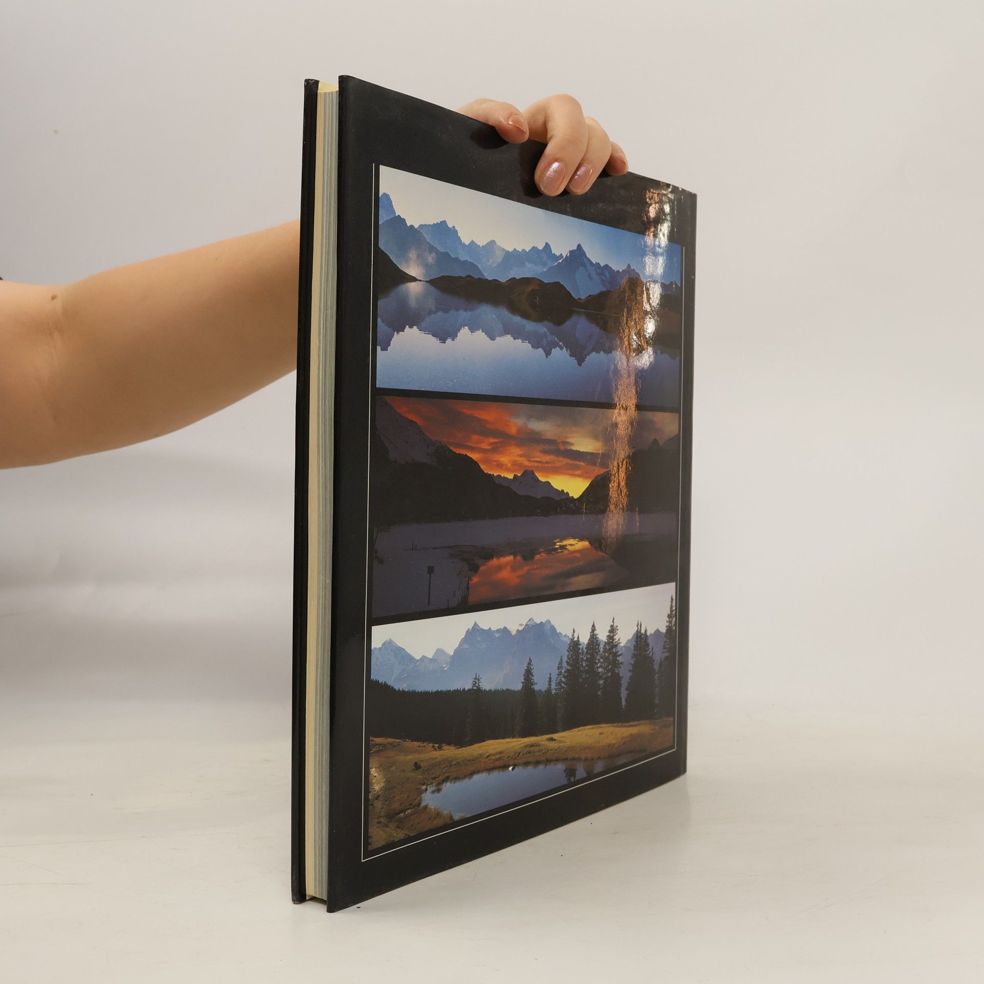 Edmond Van Hoorick Lacs alpins suisses (French Edition)