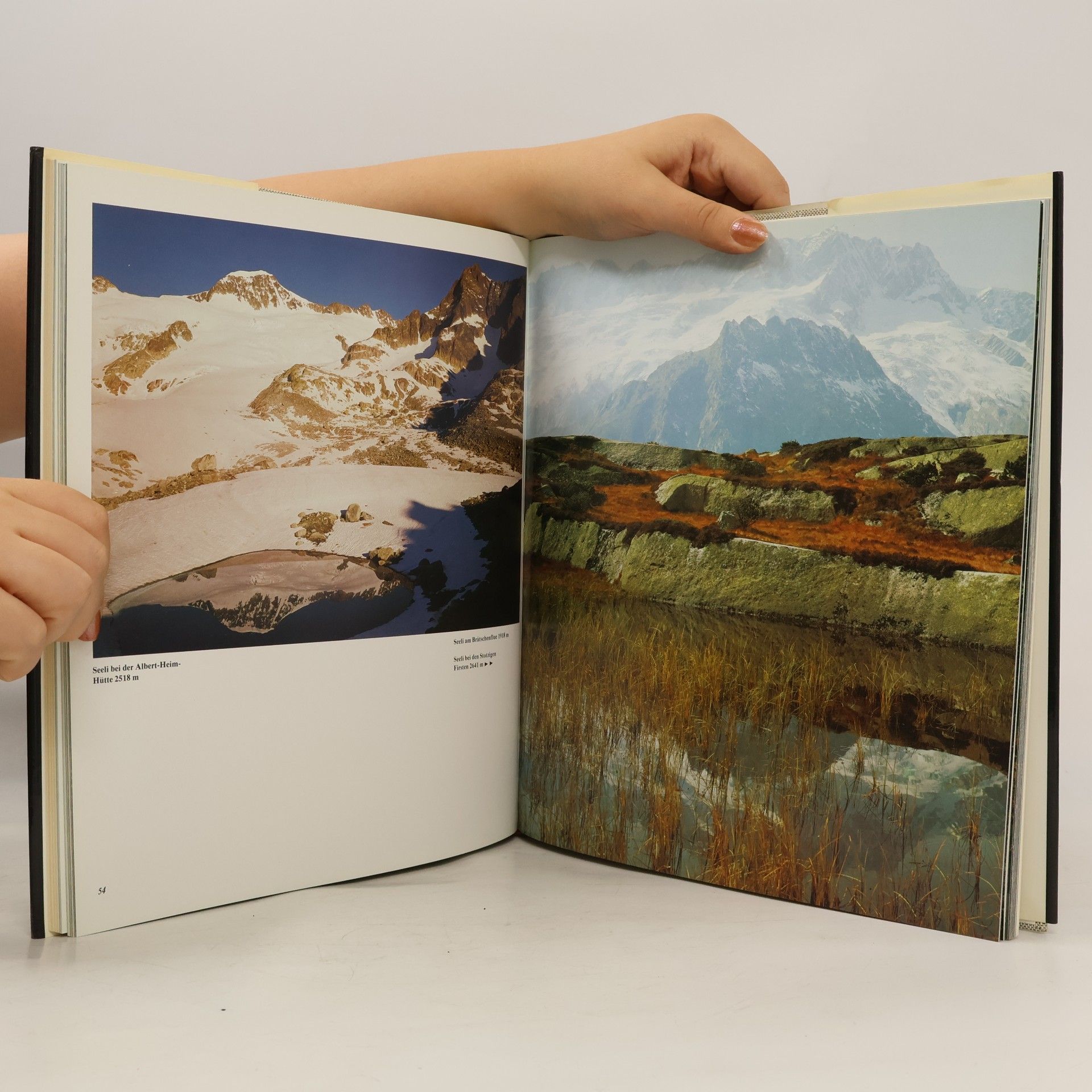 Edmond Van Hoorick Lacs alpins suisses (French Edition)