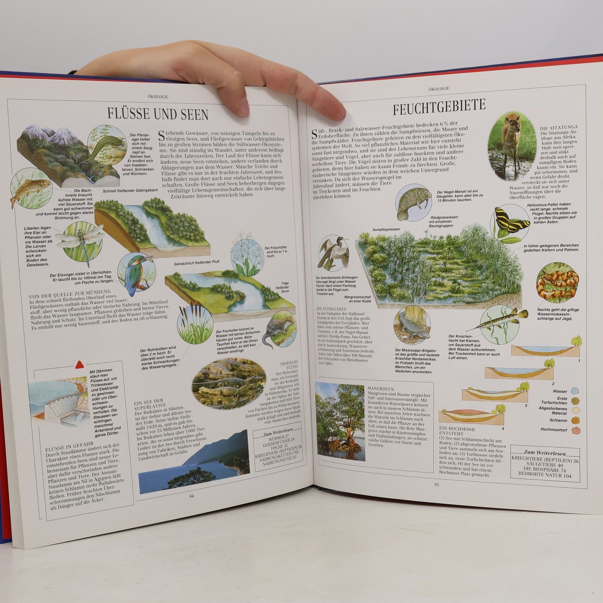 Elizabeth Gray Das Ravensburger Lexikon der NATUR & TECHNIK