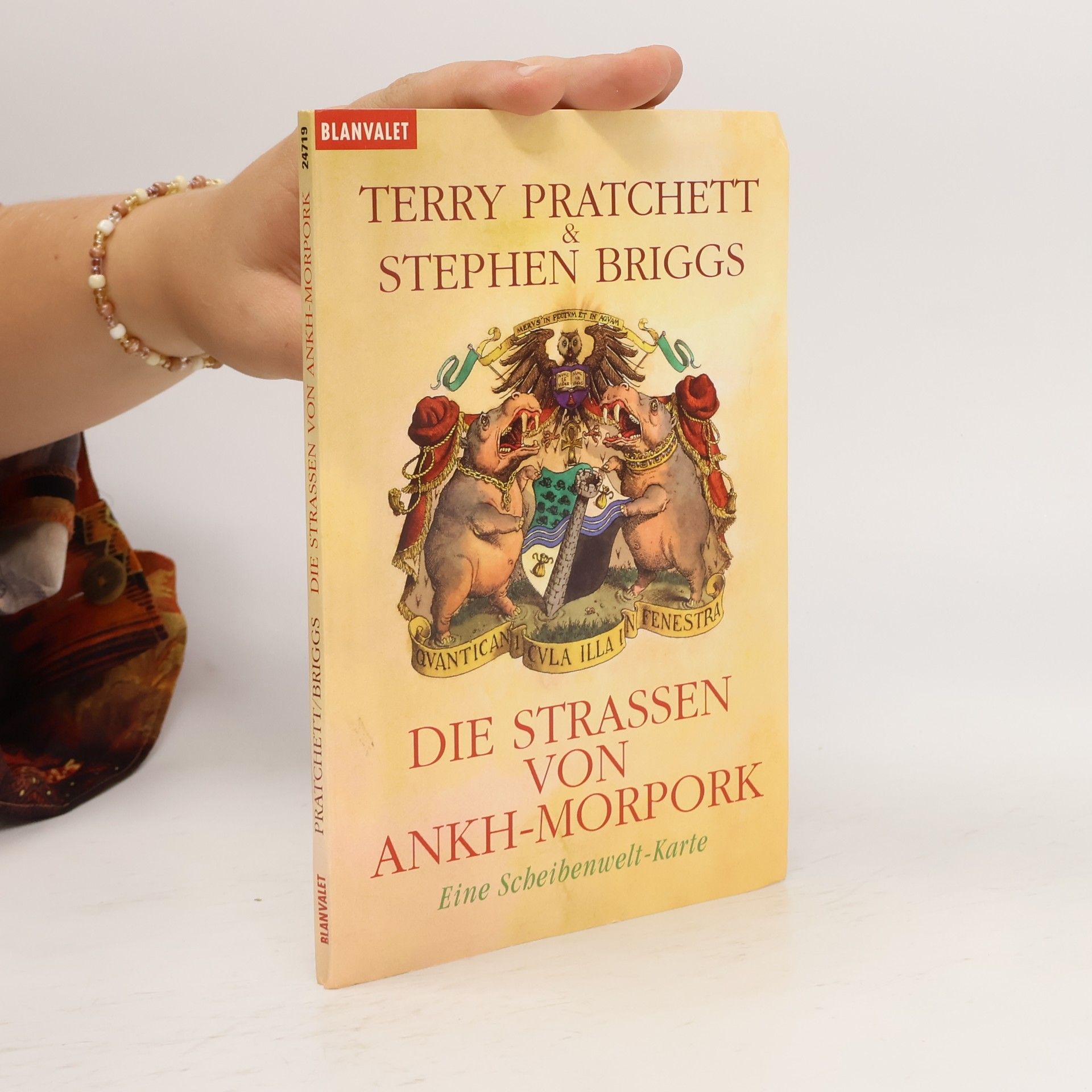 Stephen Briggs Die Strassen von Ankh-Morpork