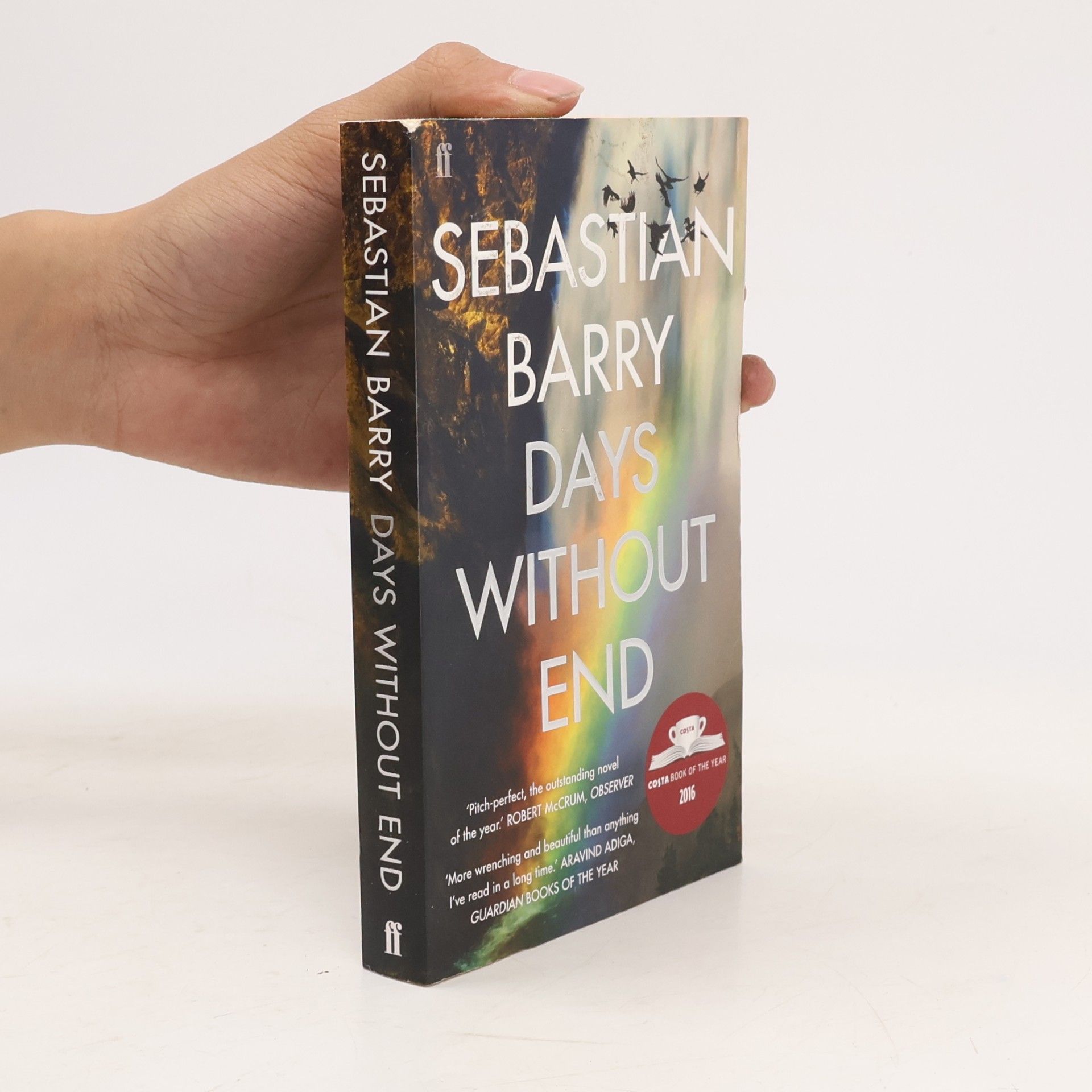 Sebastian Barry Days Without End