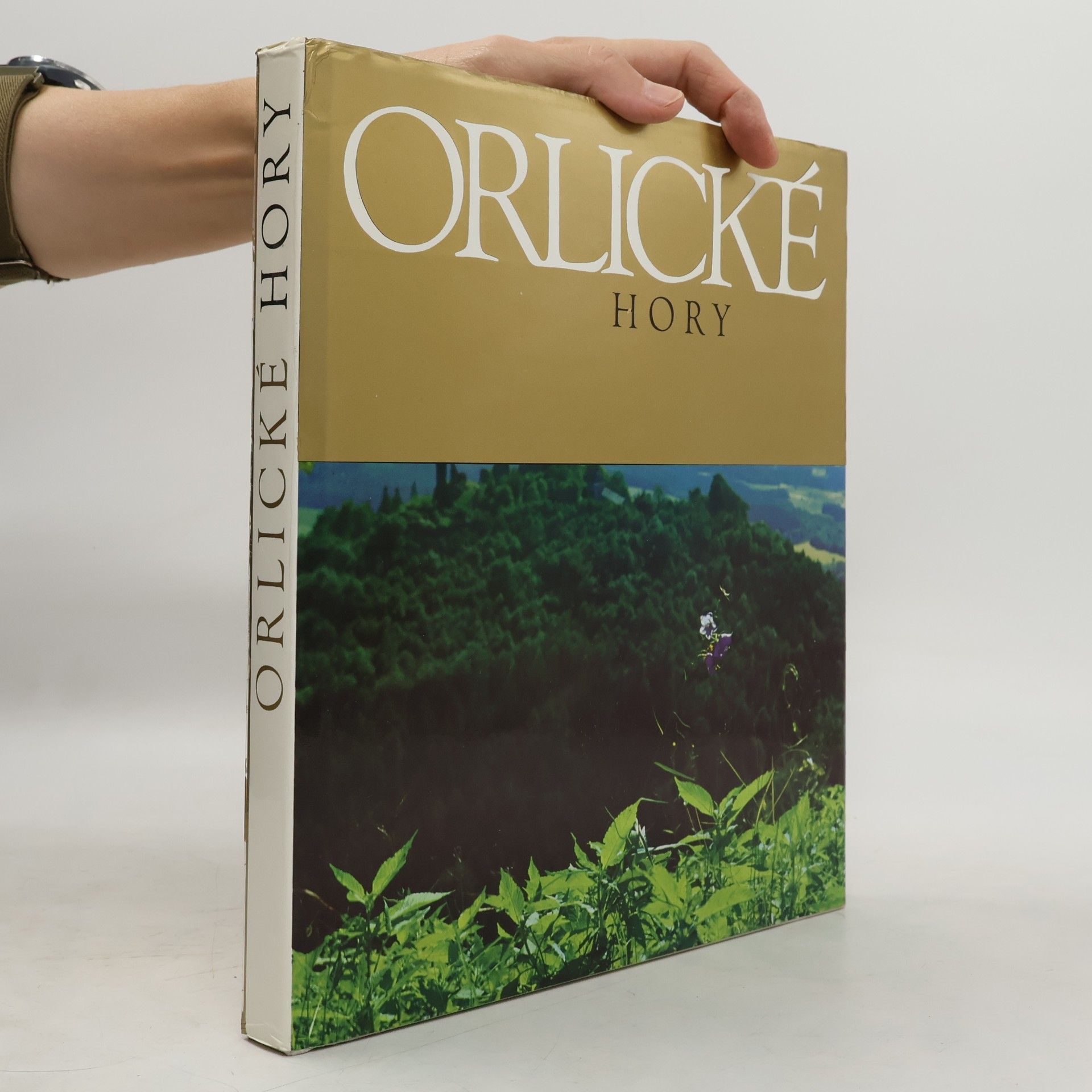 Karel Michl Orlické hory