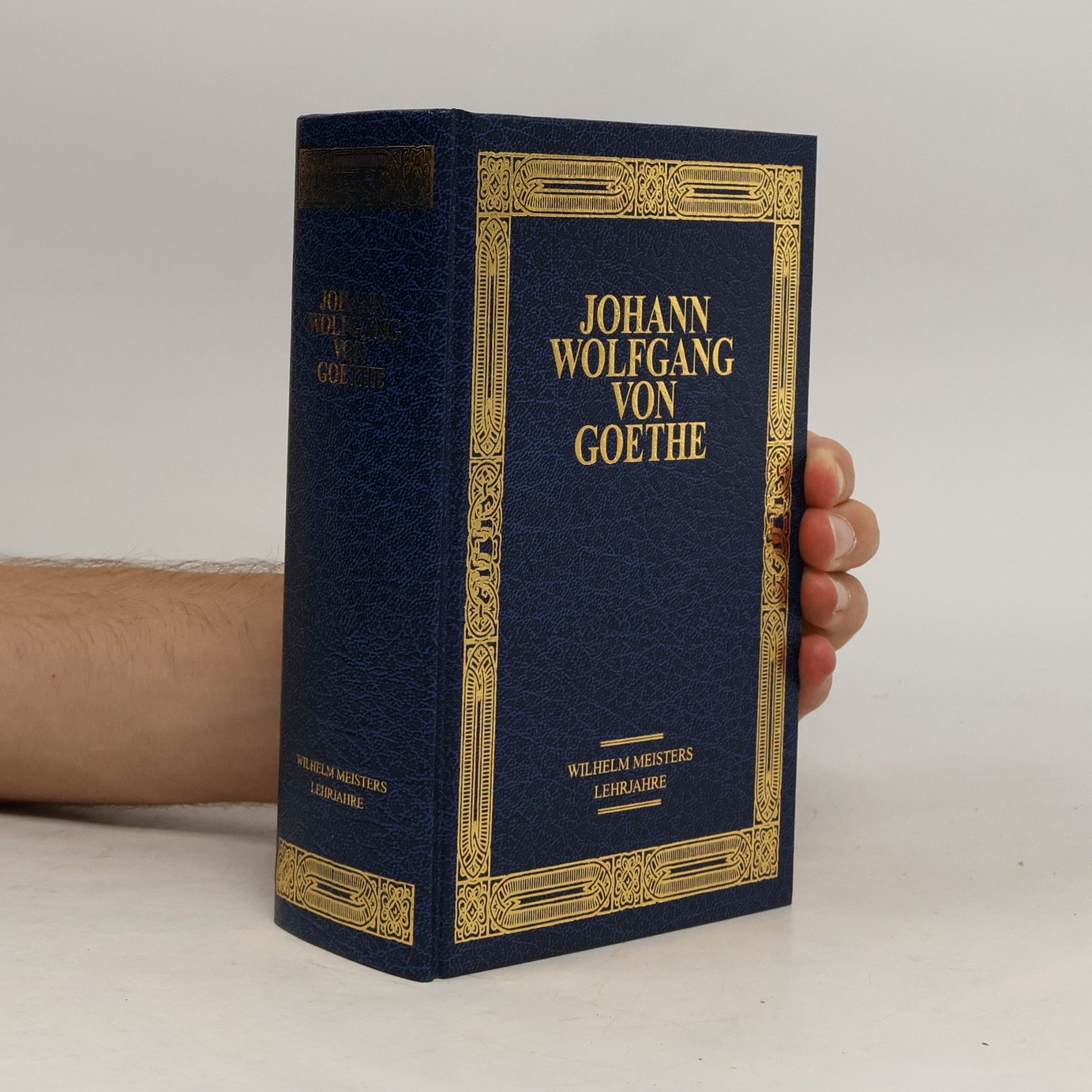 Johann Wolfgang von Goethe Romane 2