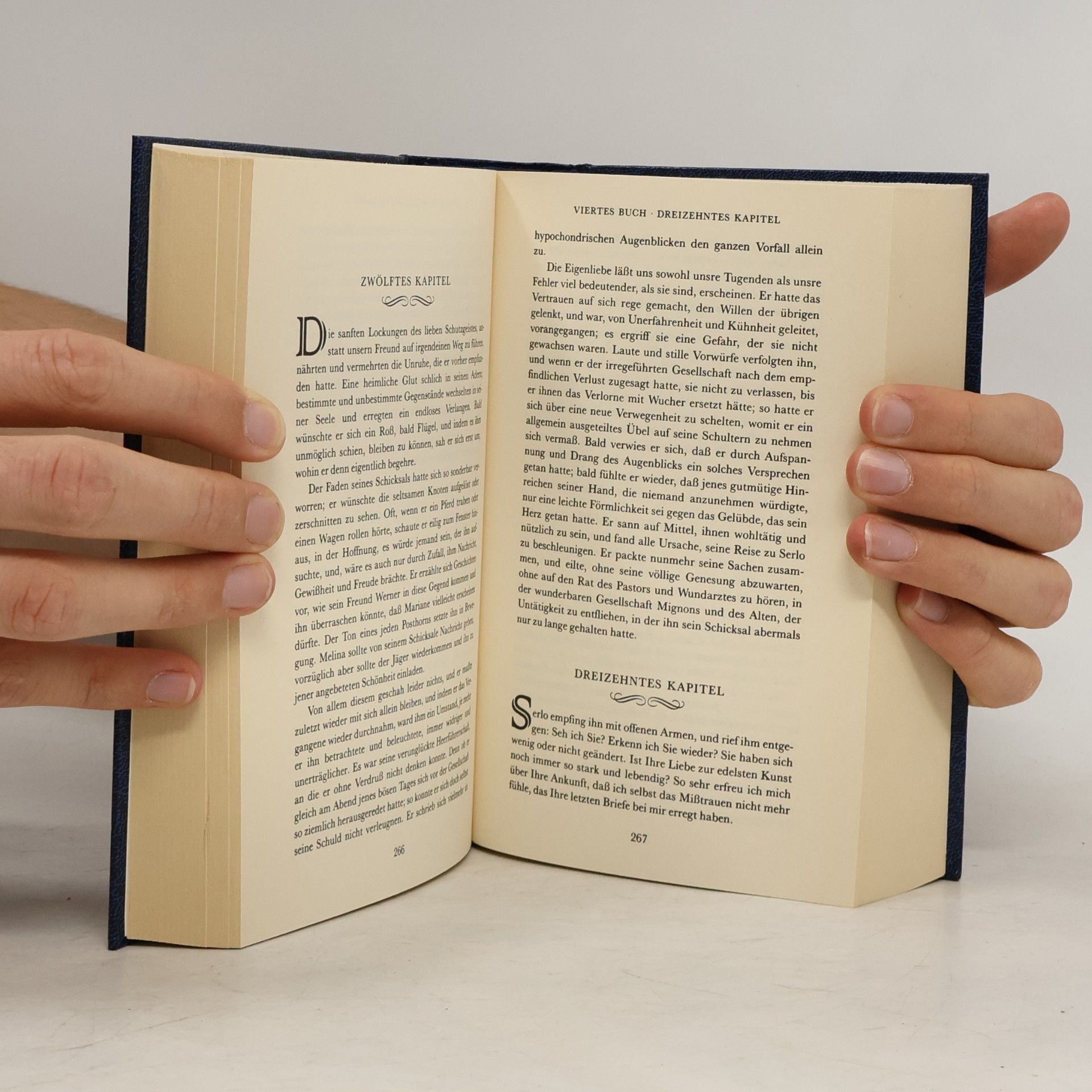 Johann Wolfgang von Goethe Romane 2