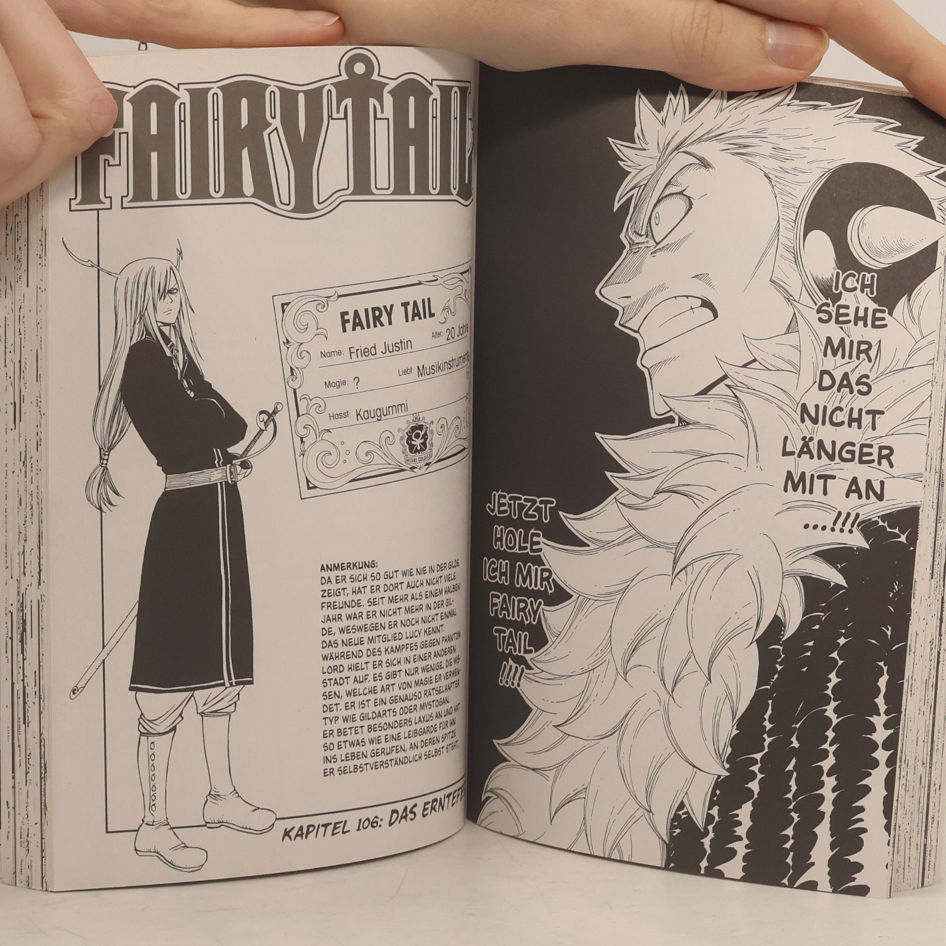 Hiro M. Fairy Tail 13