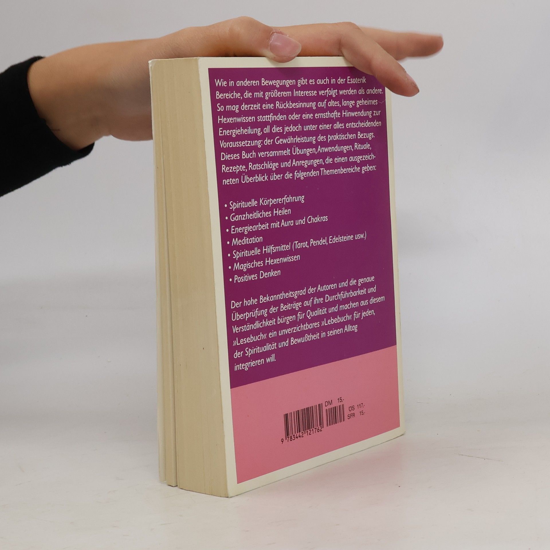 Diane von Weltzien Das grosse Praxisbuch der Esoterik