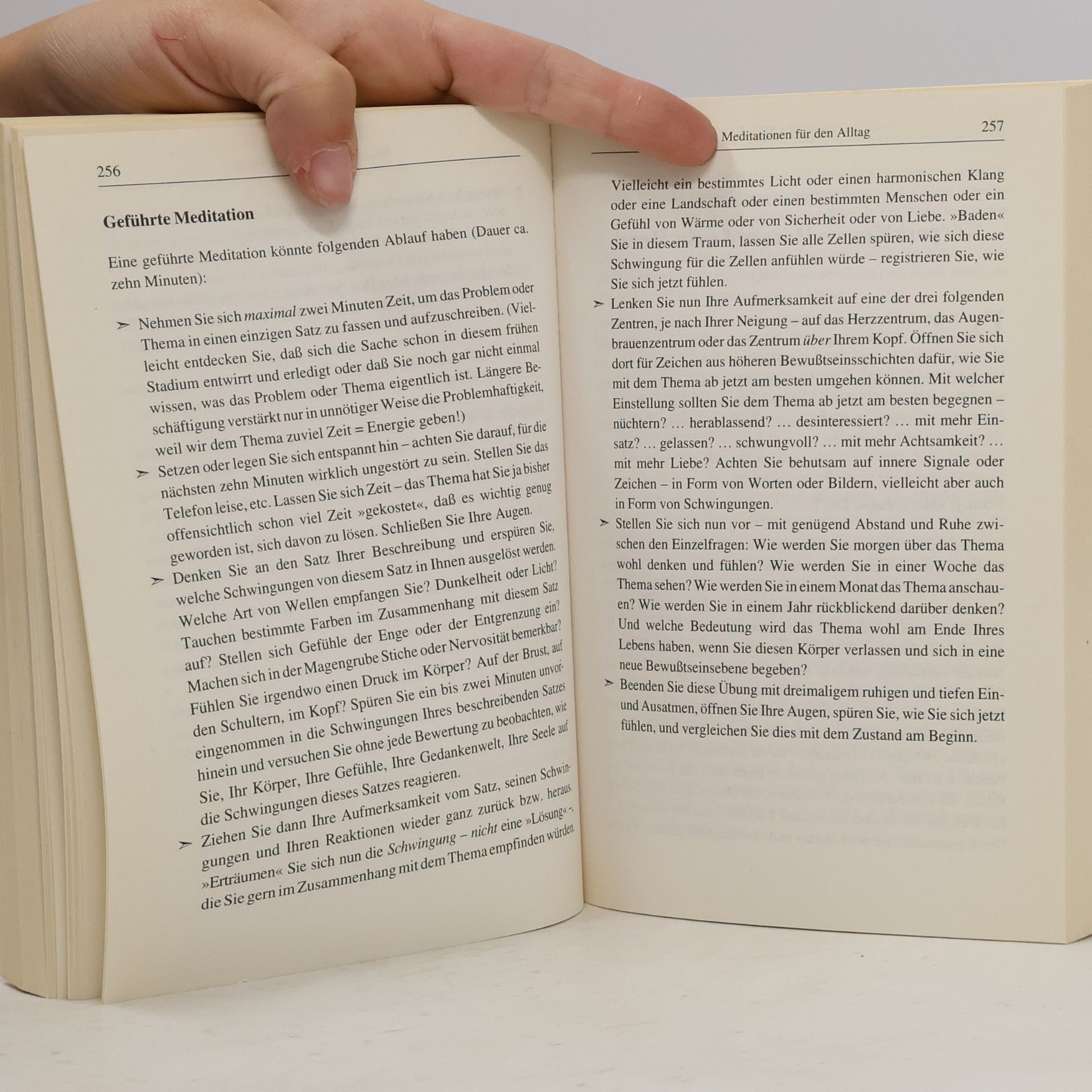 Diane von Weltzien Das grosse Praxisbuch der Esoterik