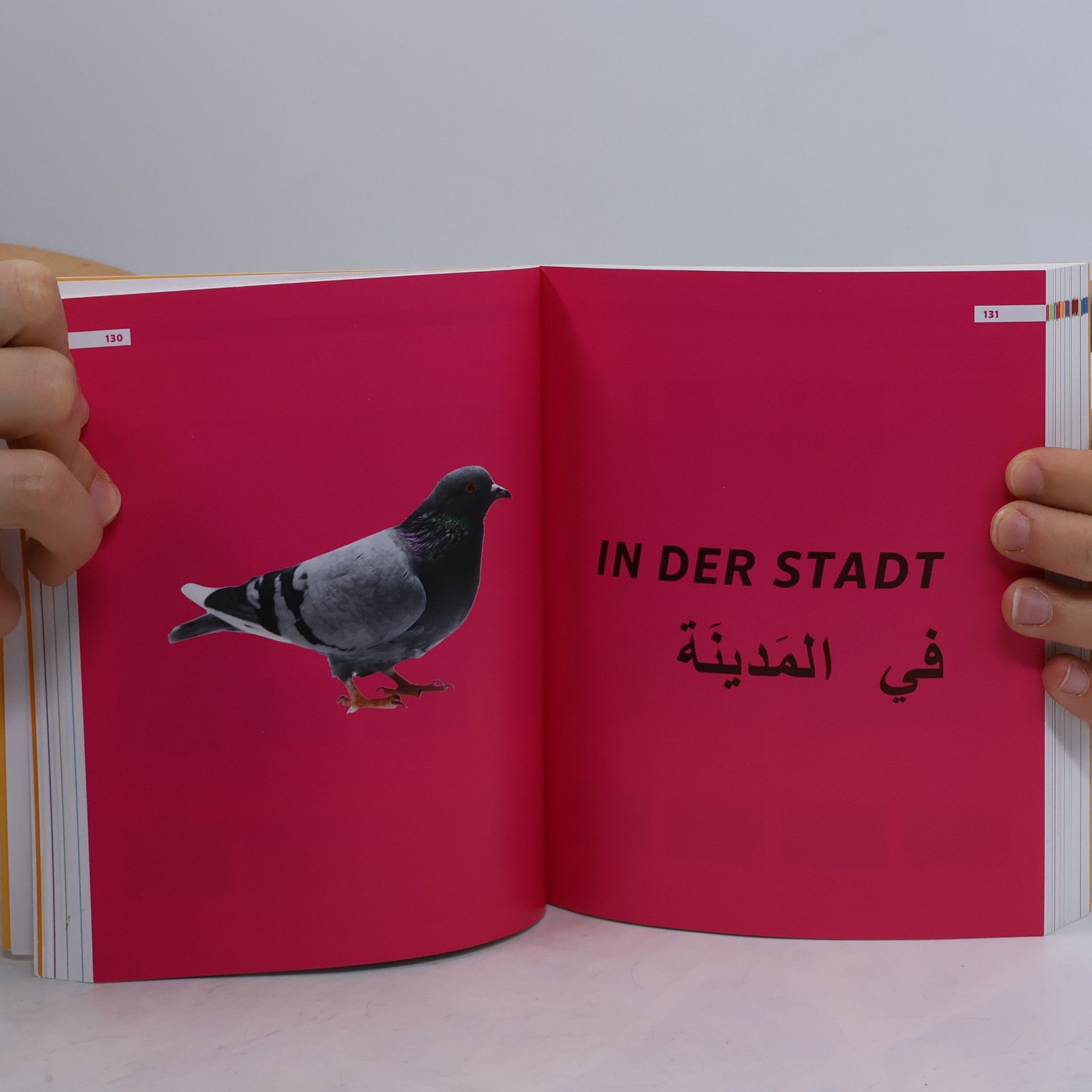 Lanna Altakleh Bildwörterbuch Arabisch Deutsch